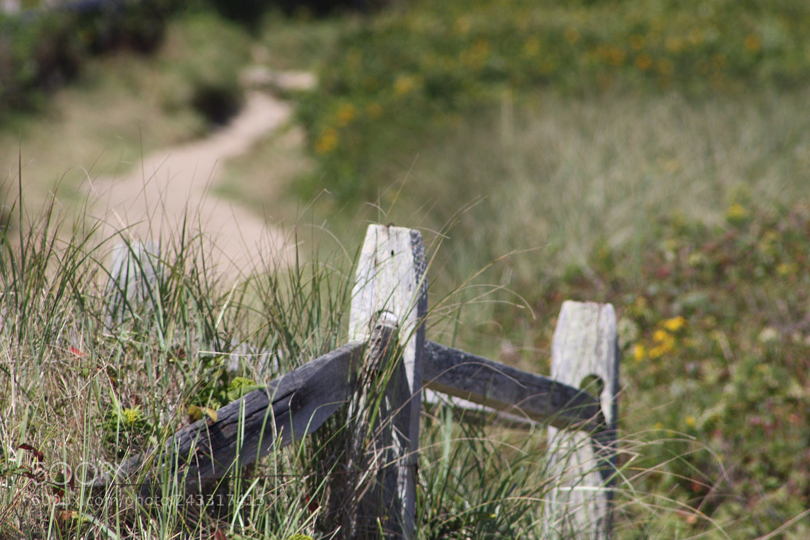 Canon EOS 450D (EOS Rebel XSi / EOS Kiss X2) sample photo. Gayhead marthas vineyard photography