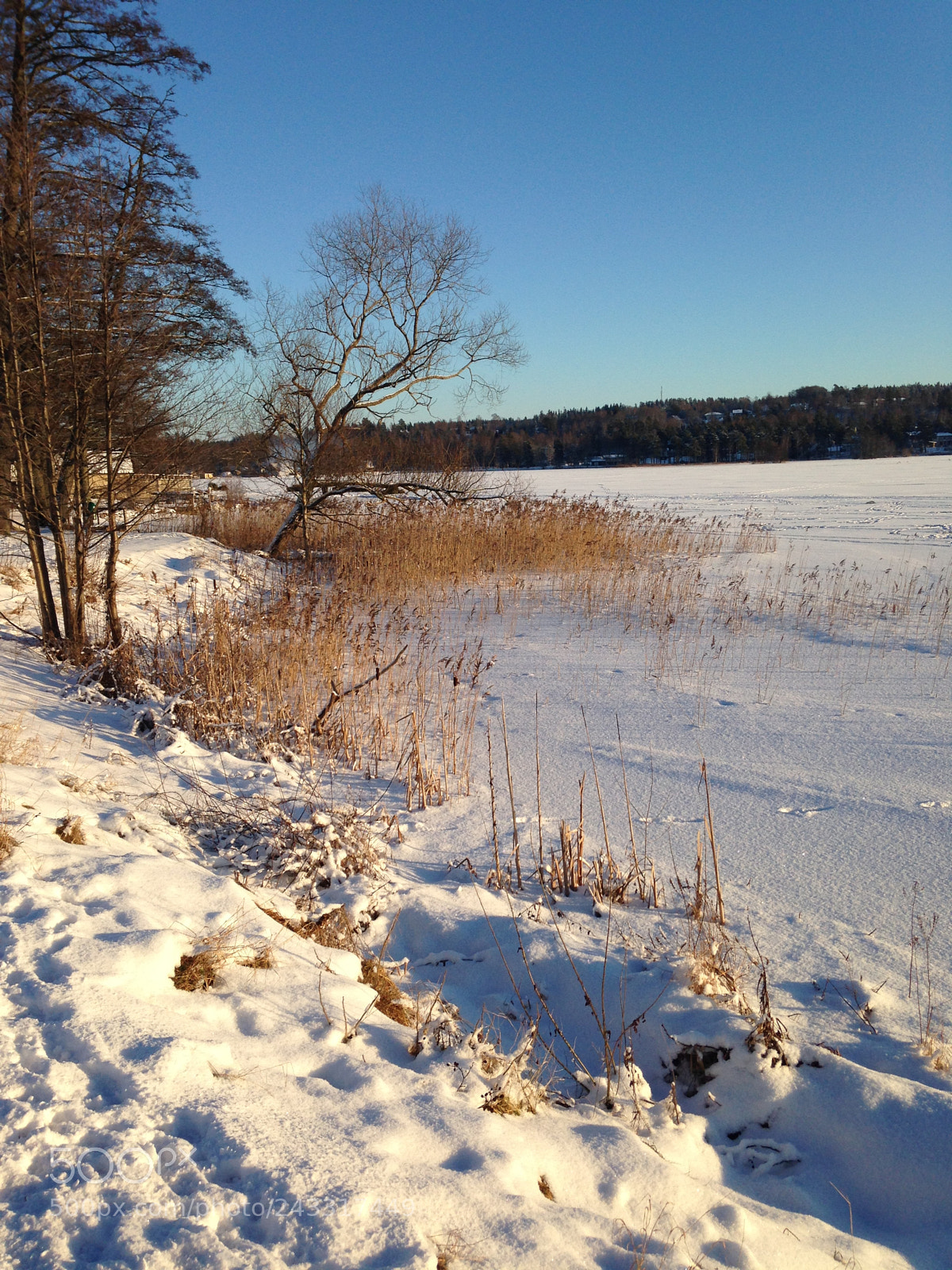 Apple iPhone 5 sample photo. Winter day photography