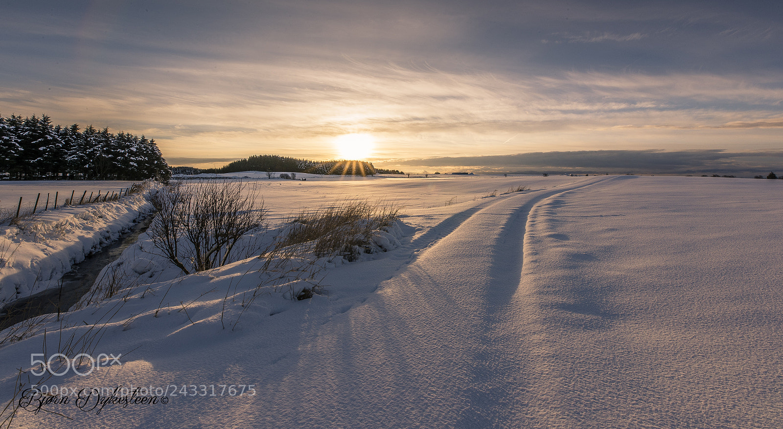 Canon EOS-1D X Mark II sample photo. Winterlandscape photography