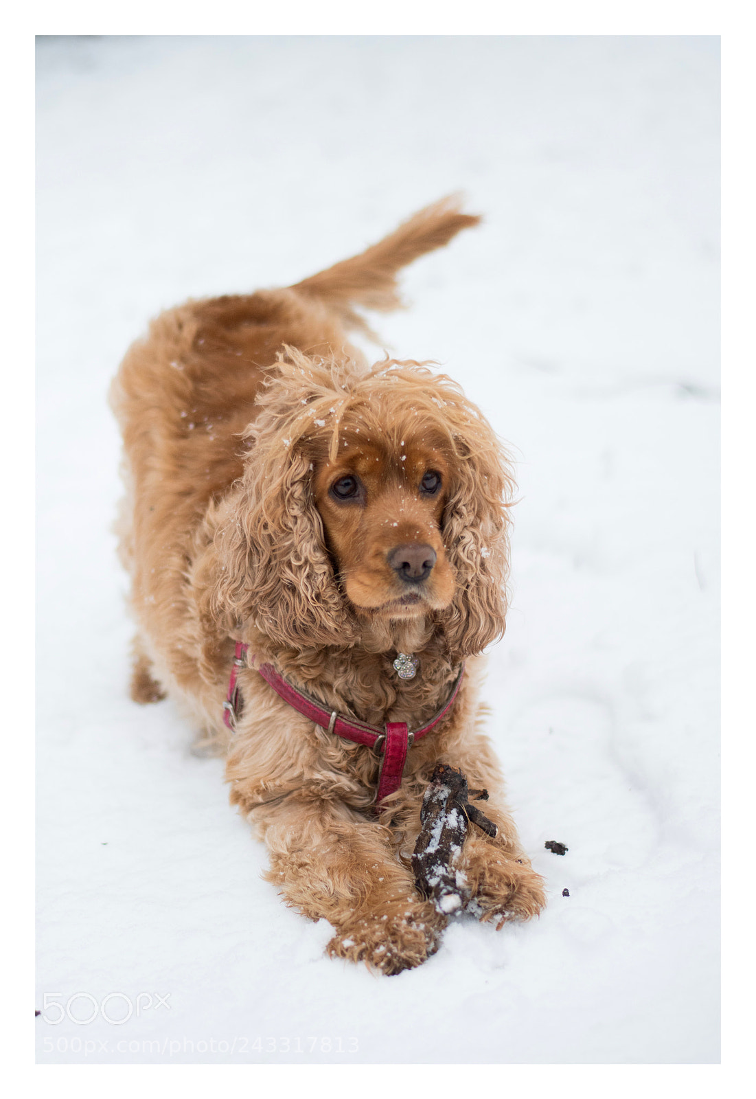 Nikon D7500 sample photo. Do you want to photography