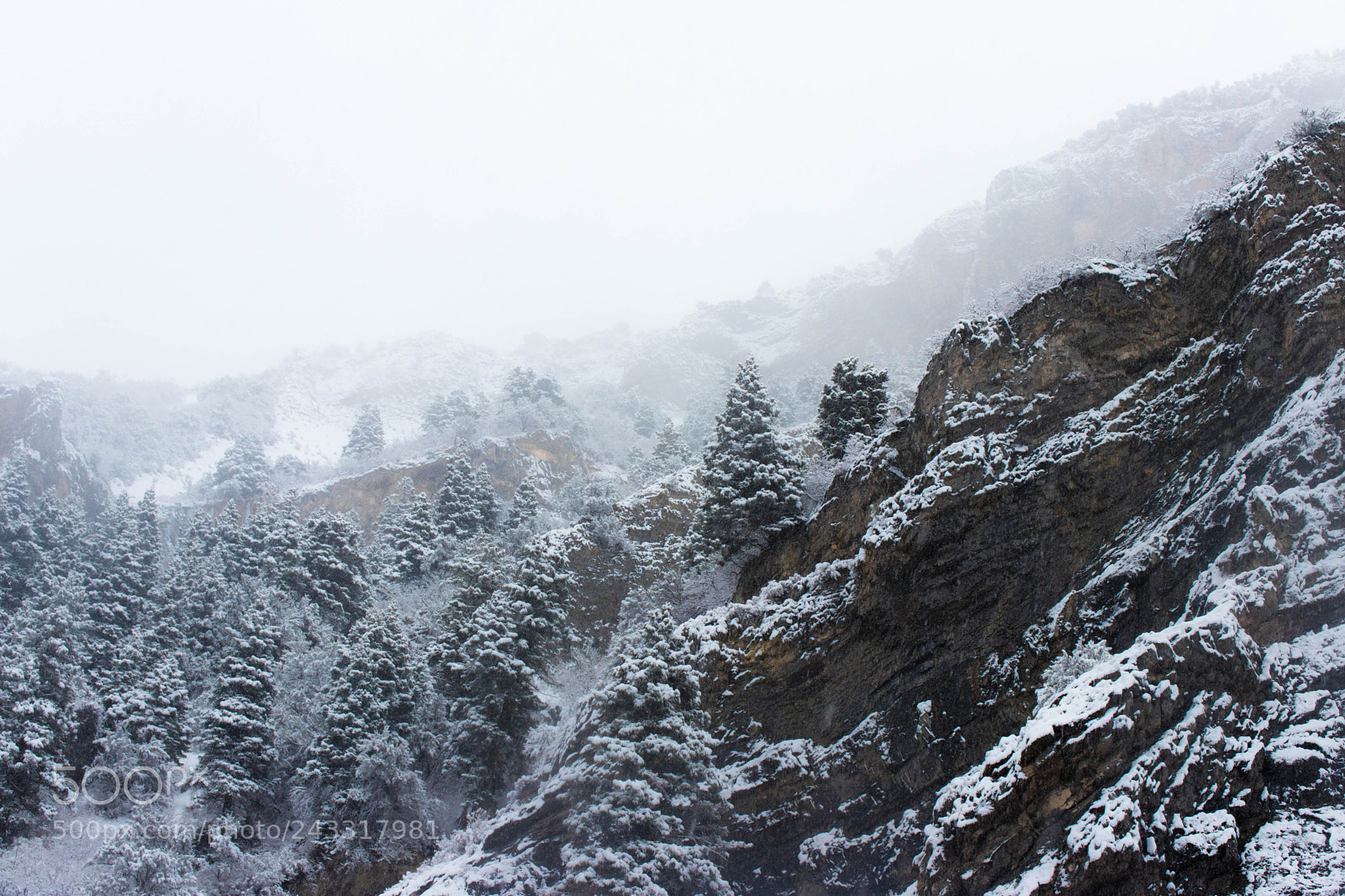 Canon EOS 200D (EOS Rebel SL2 / EOS Kiss X9) sample photo. Fresh utah snow photography