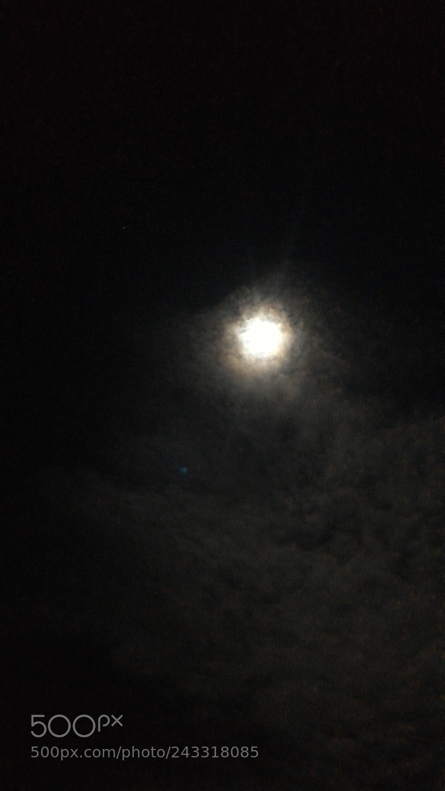 ASUS ZenFone 2 (ZE551ML) sample photo. Untitled photography