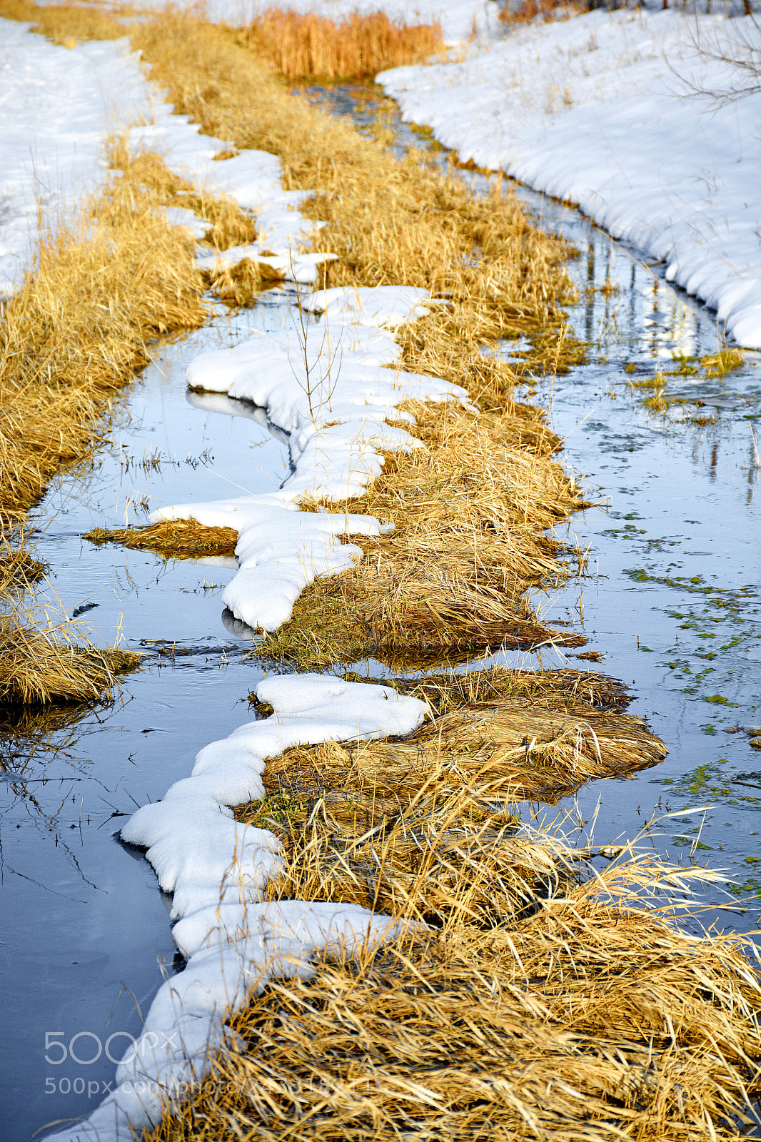 Nikon D7100 sample photo. Cherry creek snow melt photography