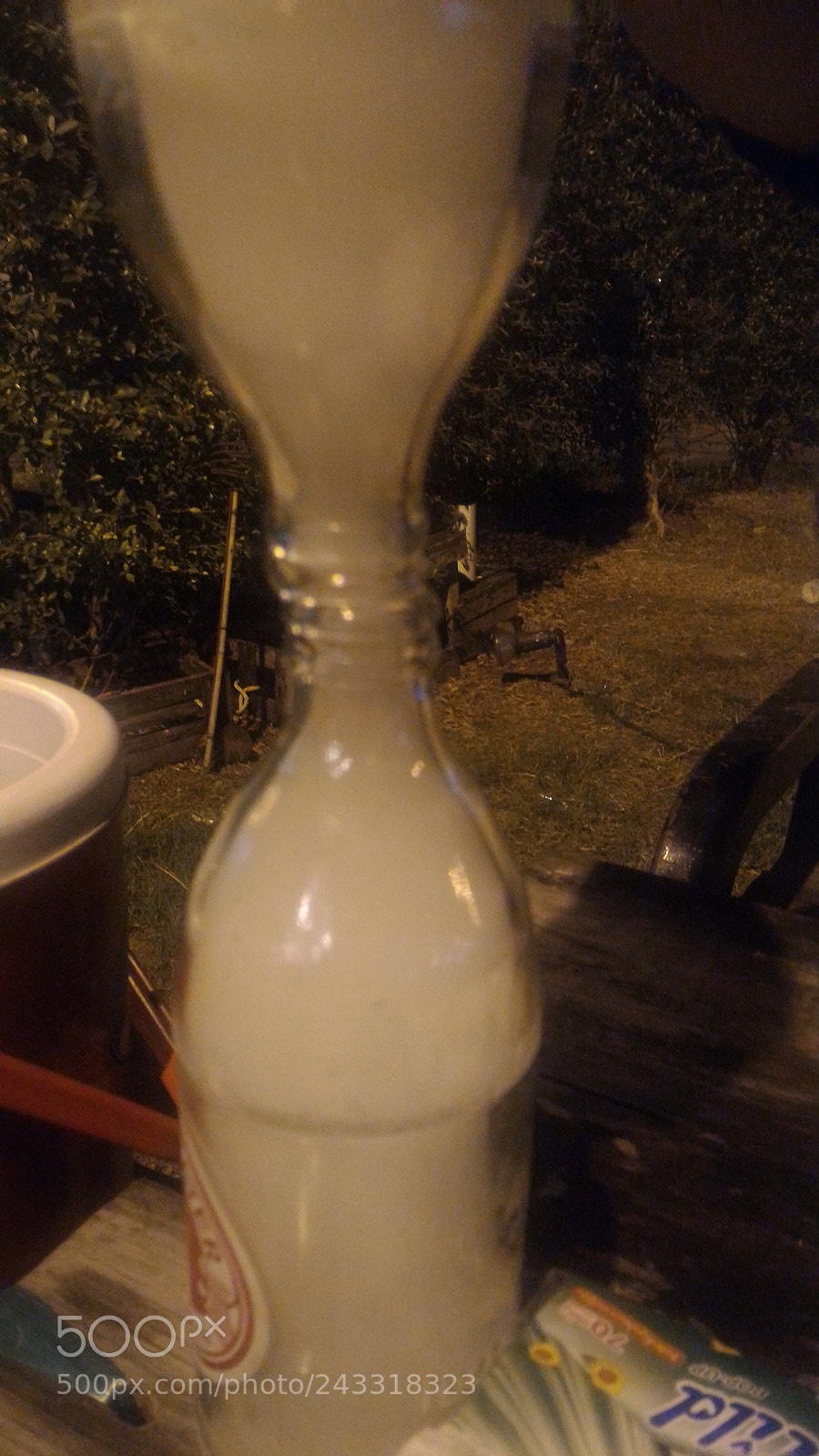 ASUS ZenFone 2 (ZE551ML) sample photo. Untitled photography