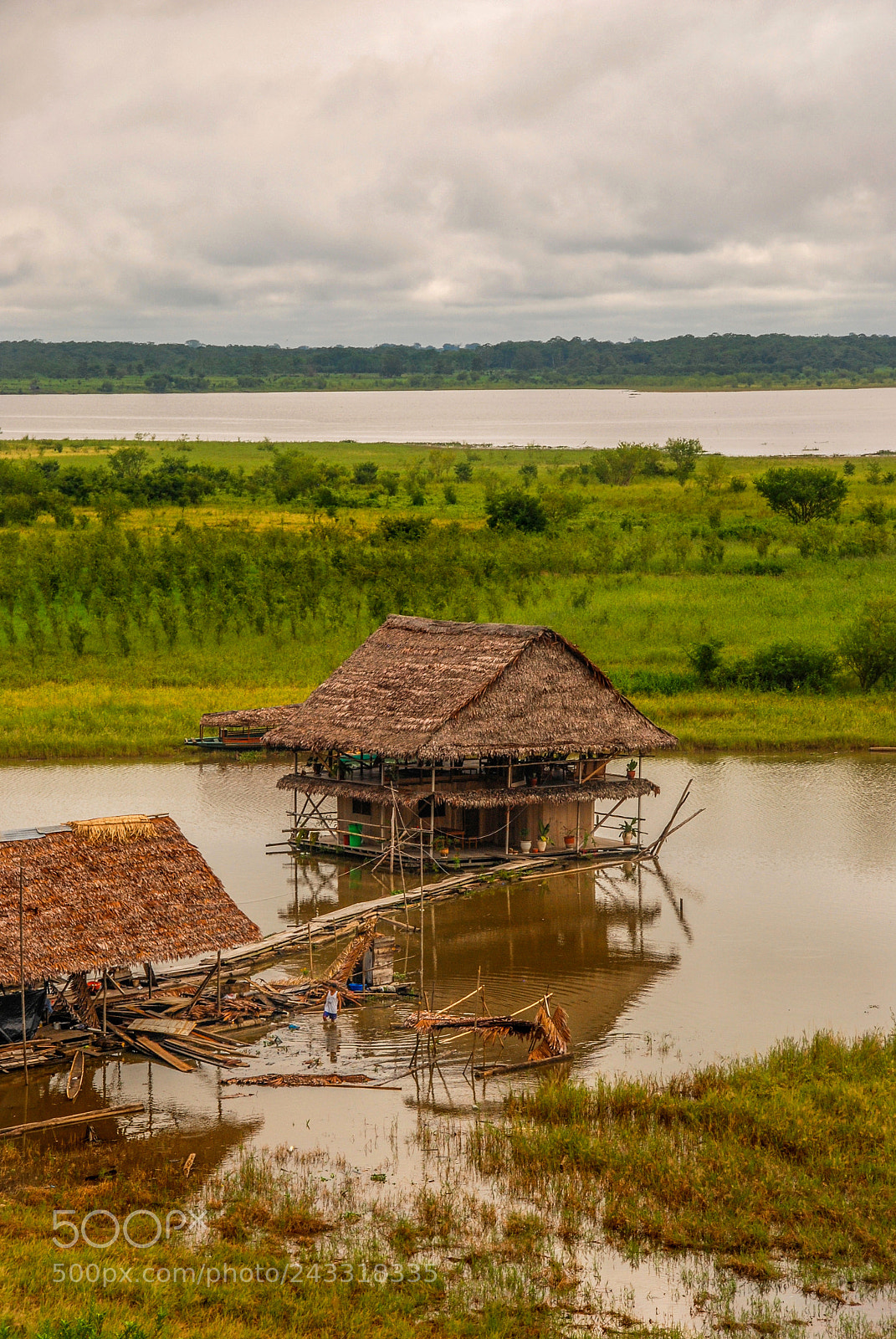 Nikon D80 sample photo. Life on the amazon photography