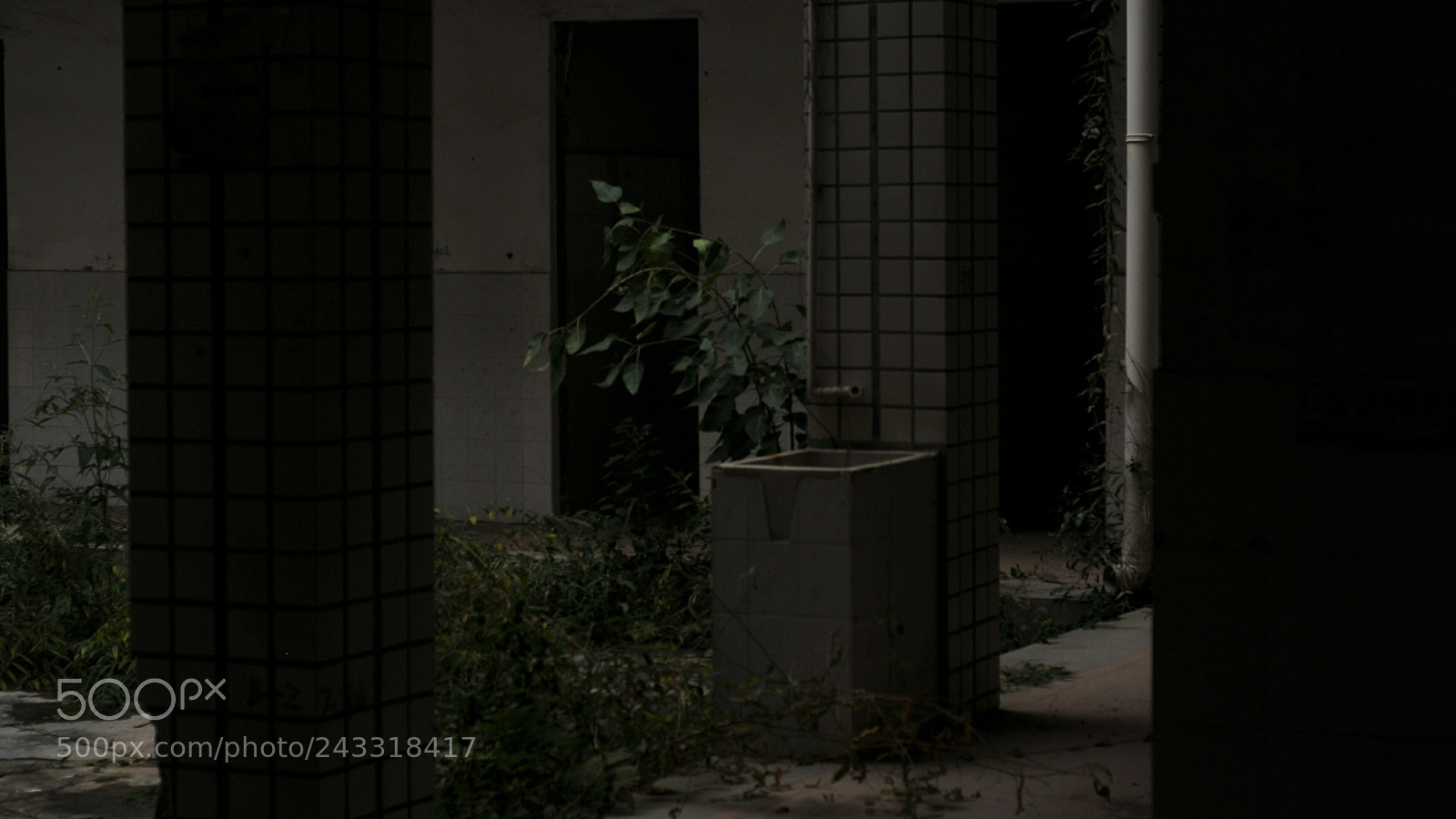 Nikon D300S sample photo. Untitled photography
