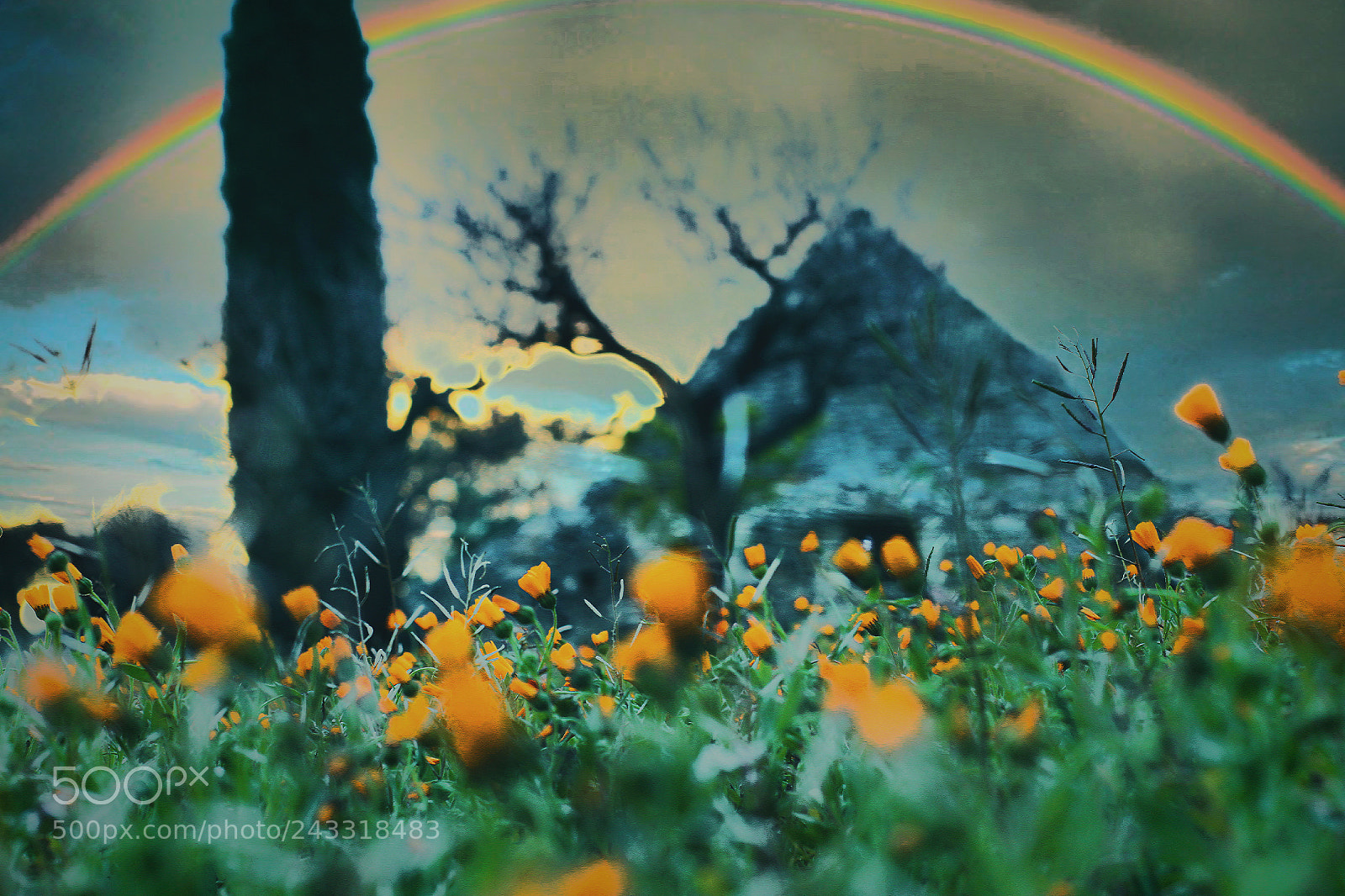Canon EOS 1300D (EOS Rebel T6 / EOS Kiss X80) sample photo. Rainbow never end photography