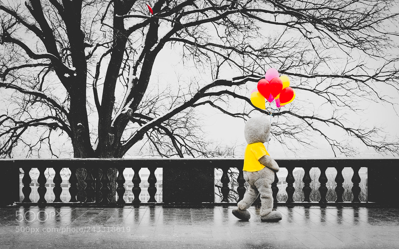 Canon EOS 7D Mark II sample photo. Sad and lonely photography
