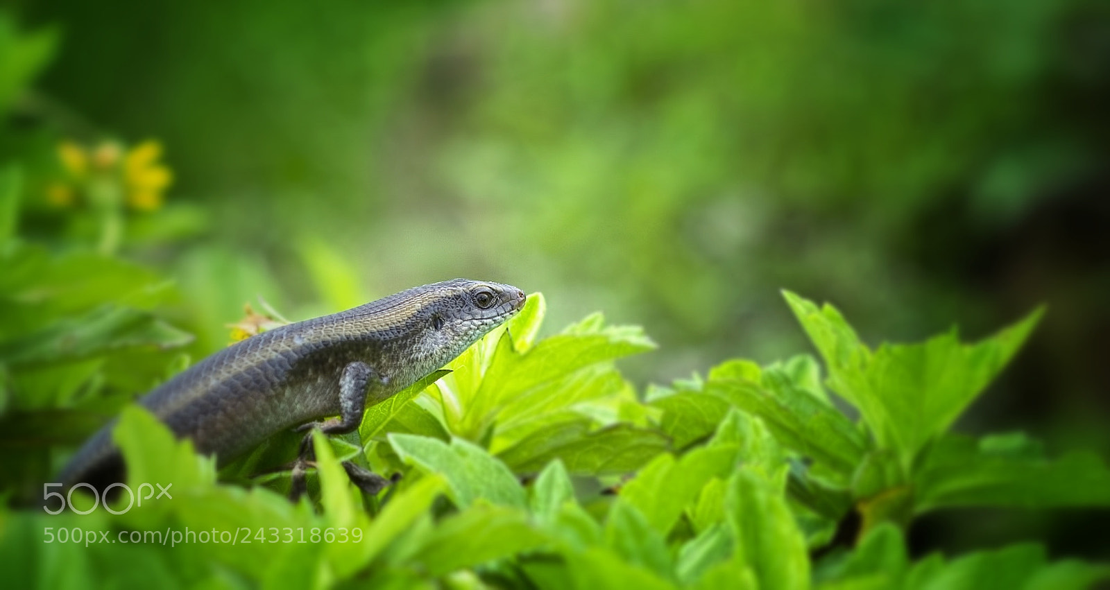 Nikon D3100 sample photo. ... photography