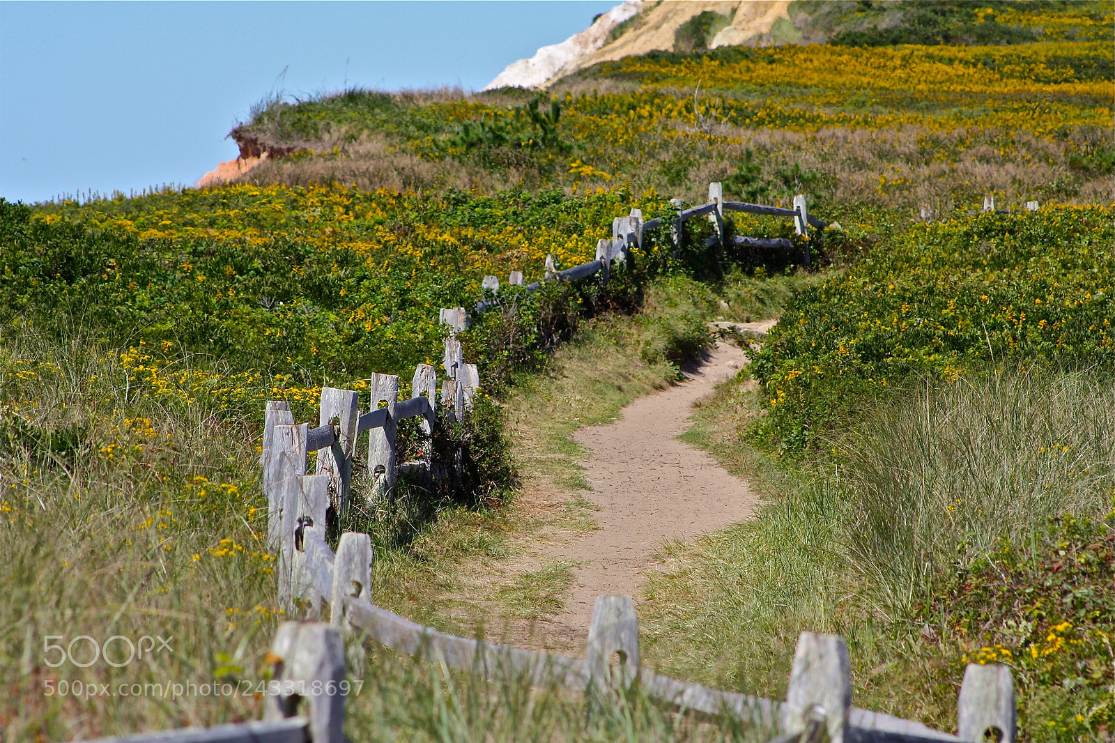 Canon EOS 450D (EOS Rebel XSi / EOS Kiss X2) sample photo. Gayhead martha’s vineyard photography