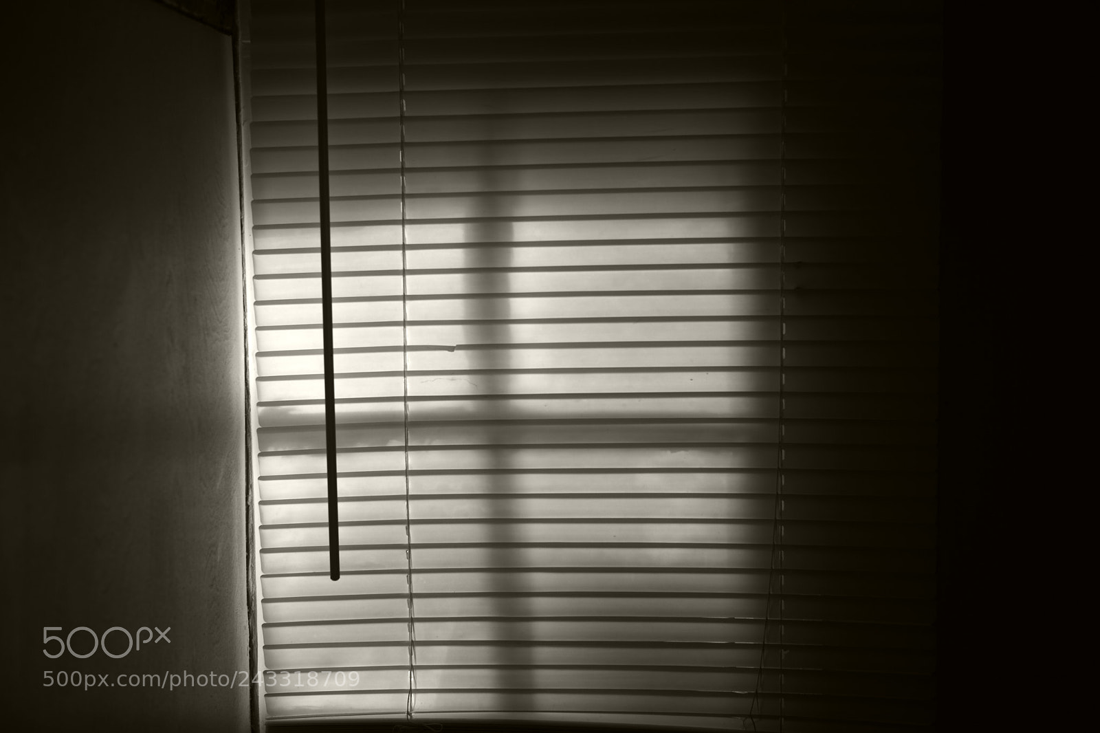 Leica M Monochrom (Typ 246) sample photo. "untitled no.75" photography