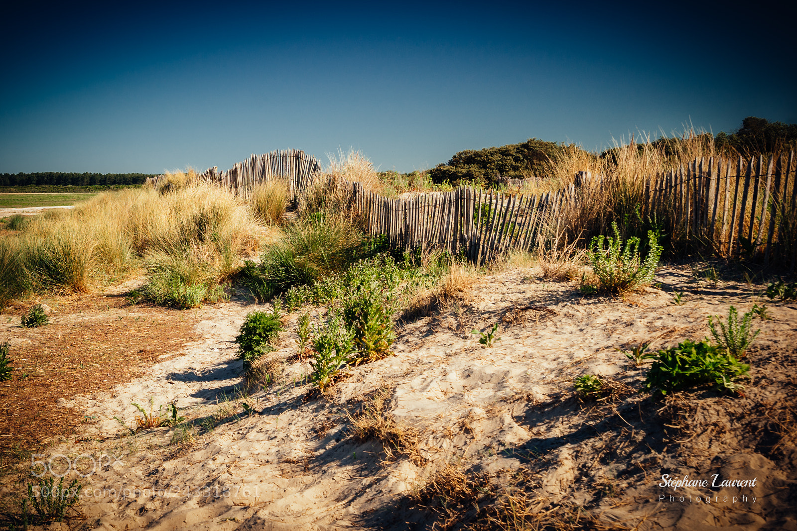 Sony a7 sample photo. Seashore fence photography