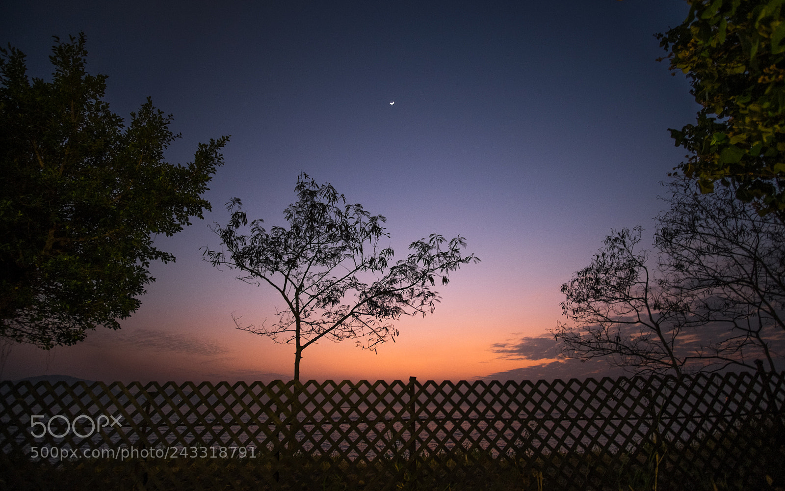Fujifilm X-T1 sample photo. Blue night photography