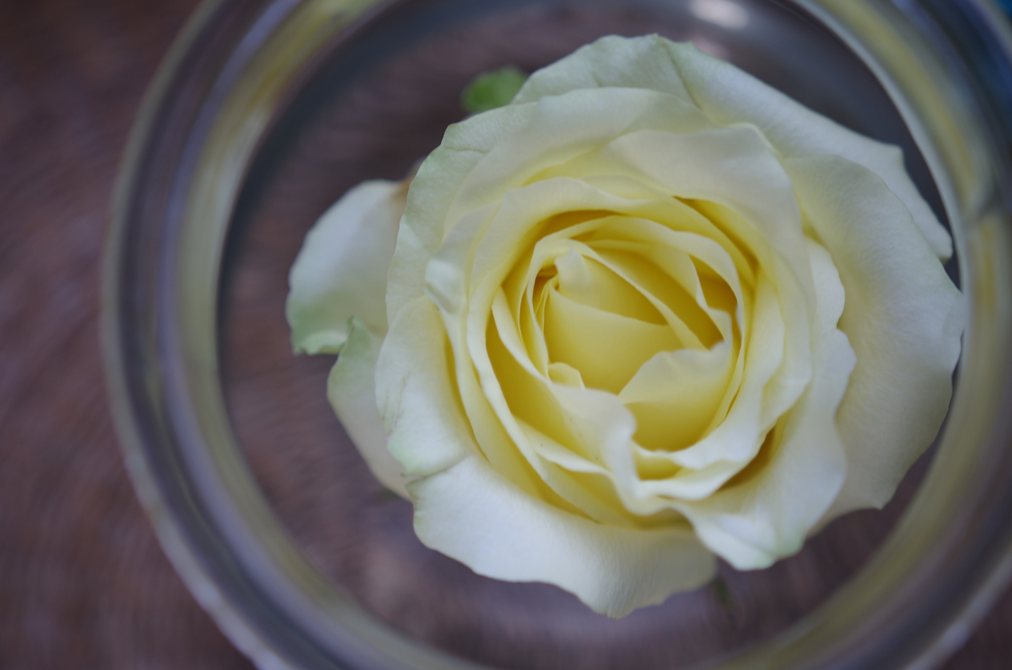 Sigma 18-35mm F1.8 DC HSM Art sample photo
