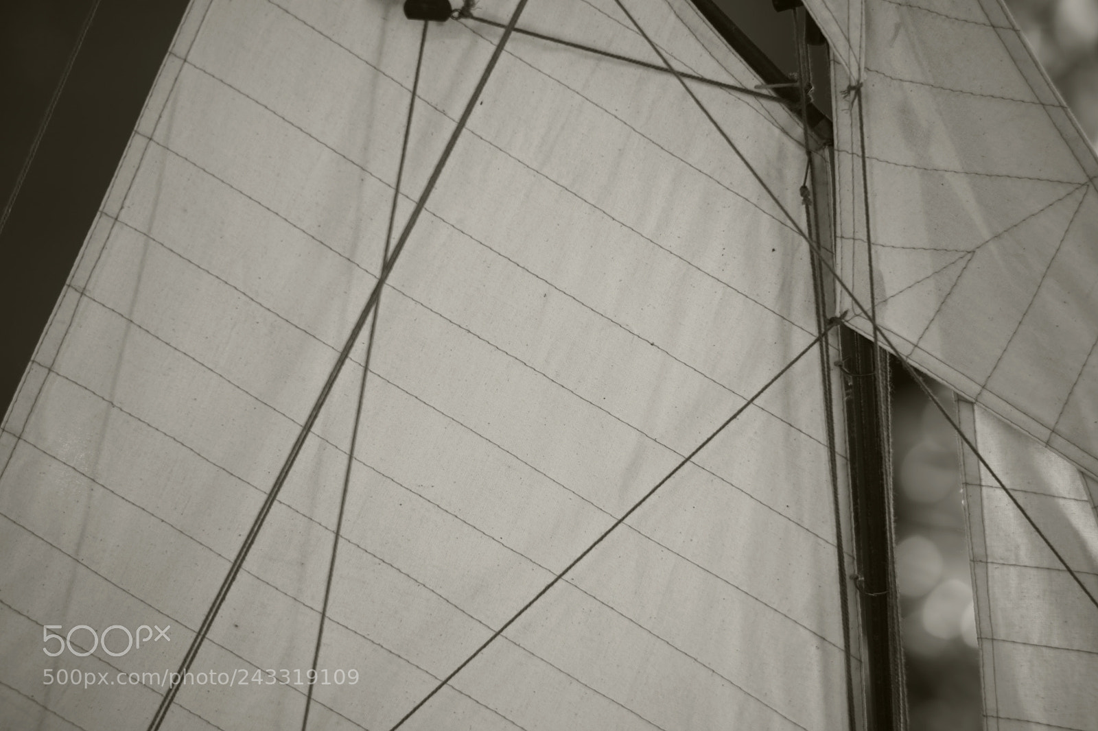 Leica M Monochrom (Typ 246) sample photo. The sail in b photography