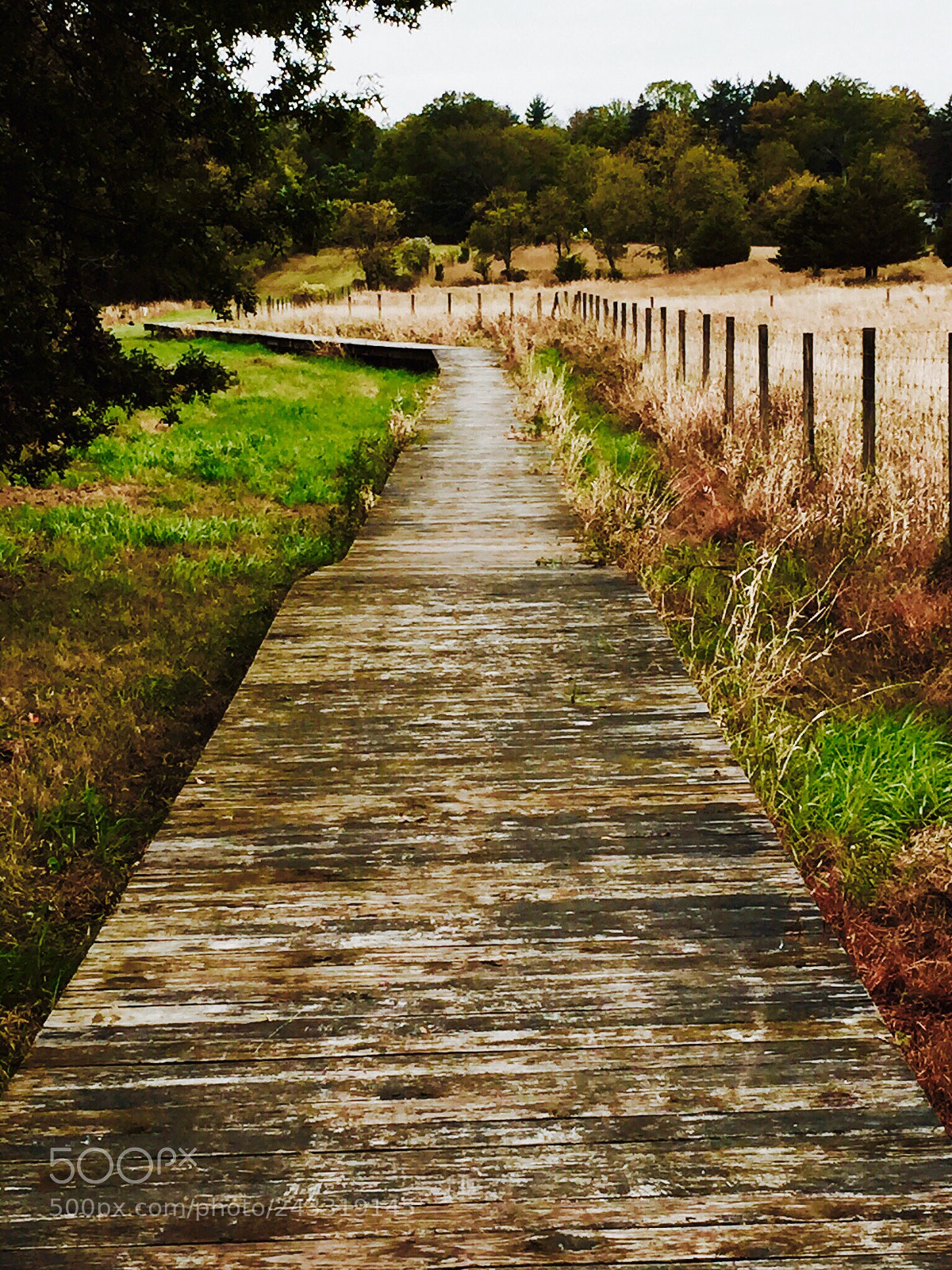 Apple iPhone 6 Plus sample photo. Boardwalk to nowhere. mountain photography