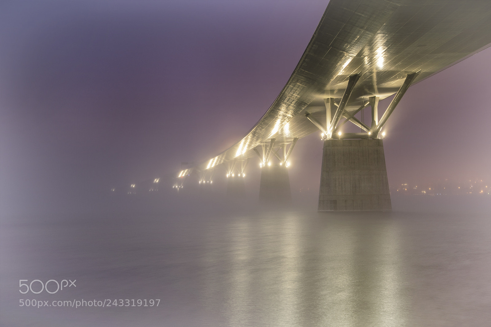 Nikon D500 sample photo. Foggy evening, sundsvall bridge photography