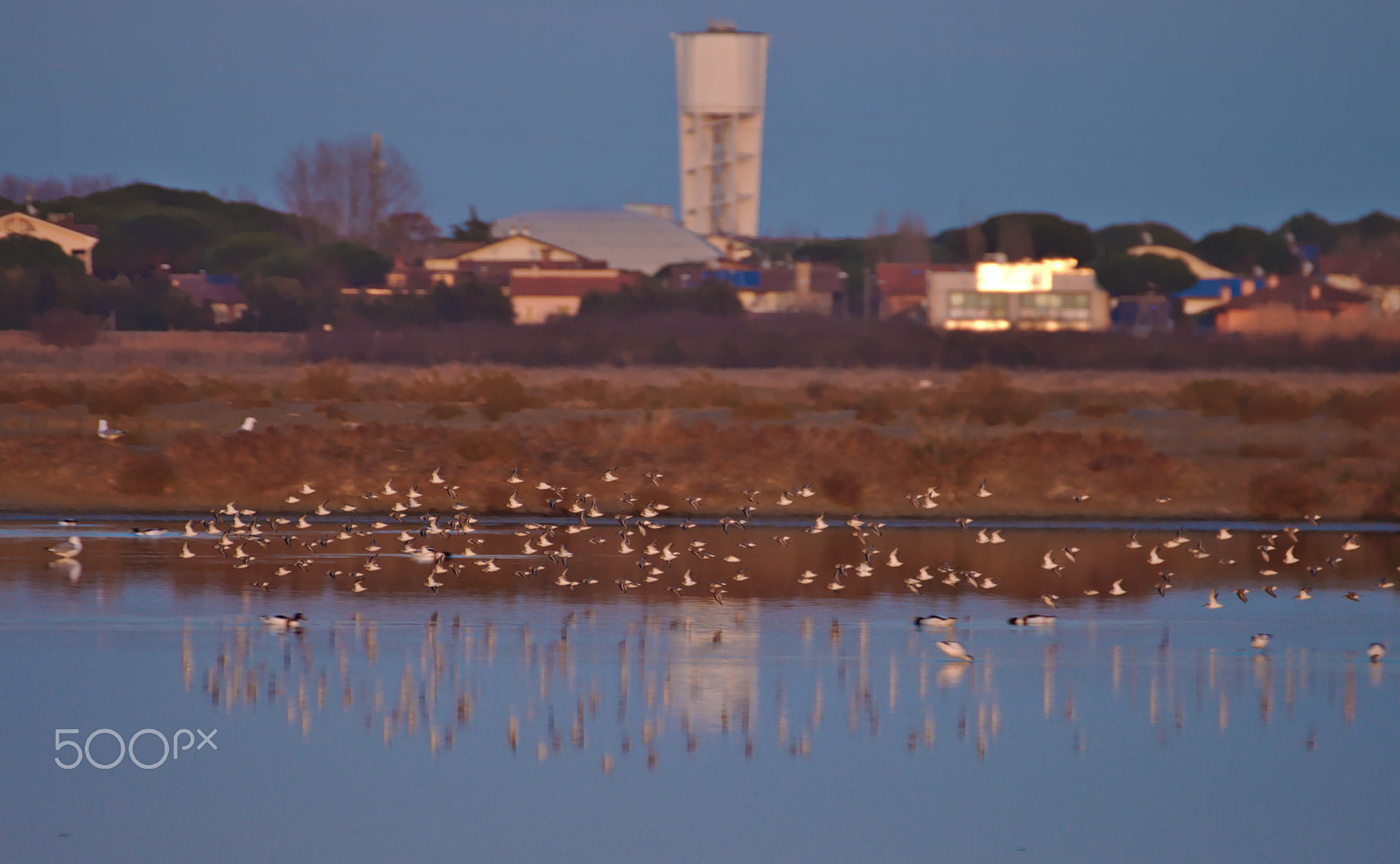 Canon EOS 70D + Tamron SP 35mm F1.8 Di VC USD sample photo. Saline di cervia photography