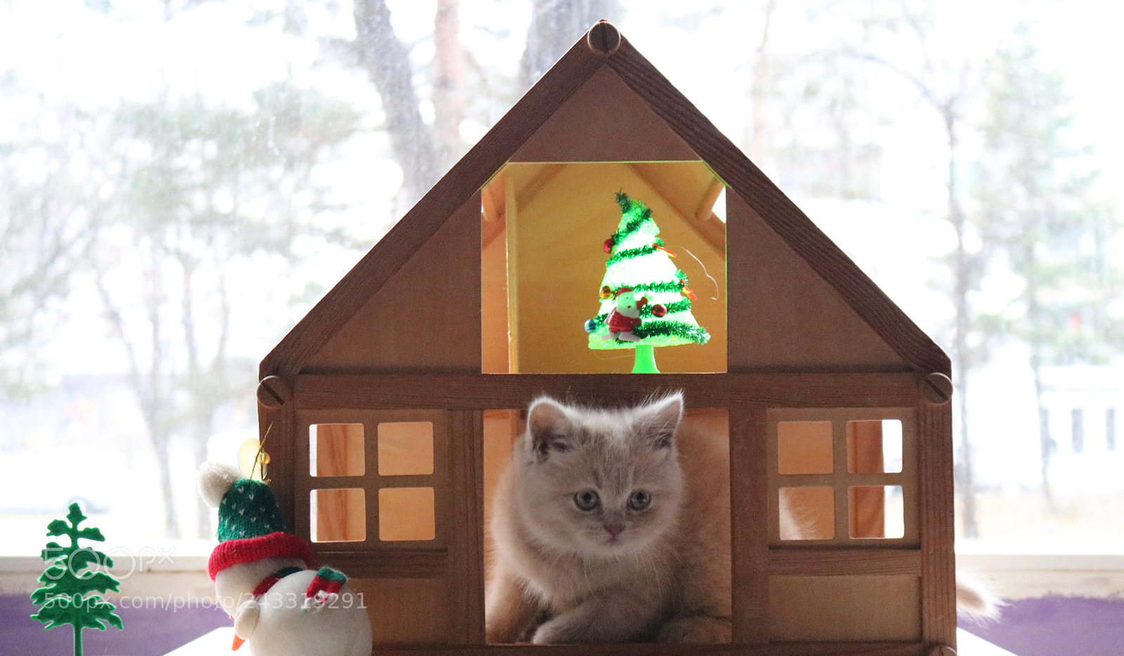 Canon EOS 750D (EOS Rebel T6i / EOS Kiss X8i) sample photo. Can in xmas mood photography