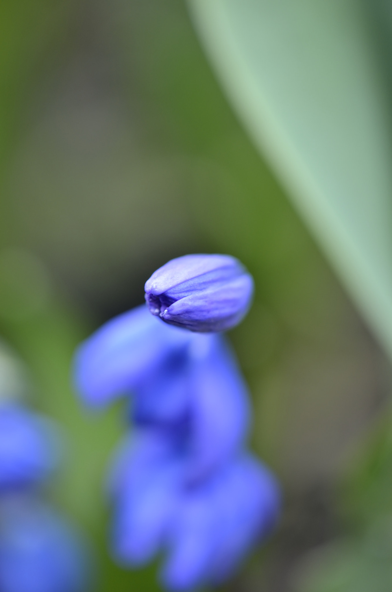 Nikon AF-S DX Micro-Nikkor 85mm F3.5G ED VR sample photo. Remain of a spring # 3 photography