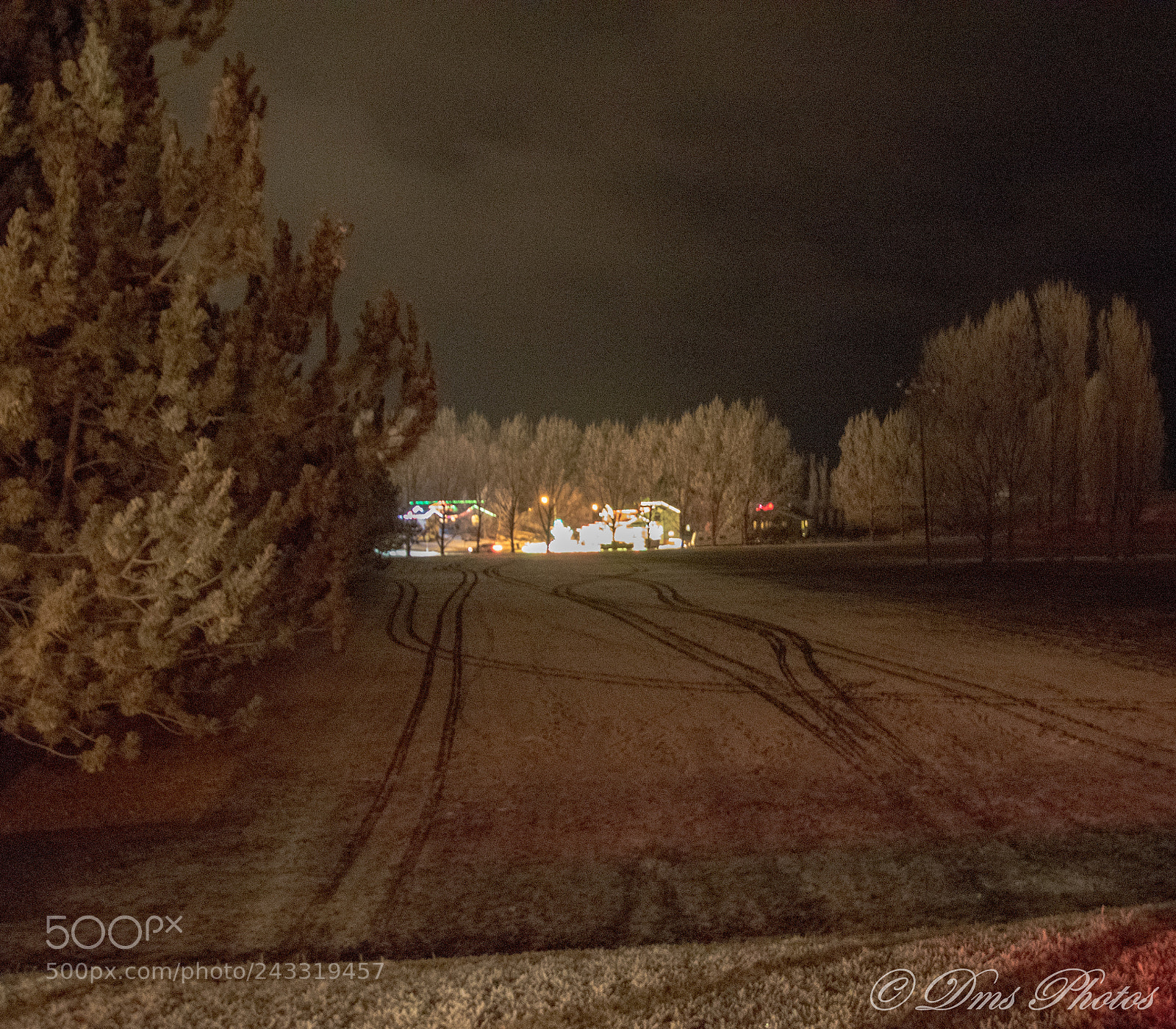 Nikon D5600 sample photo. Lights photography