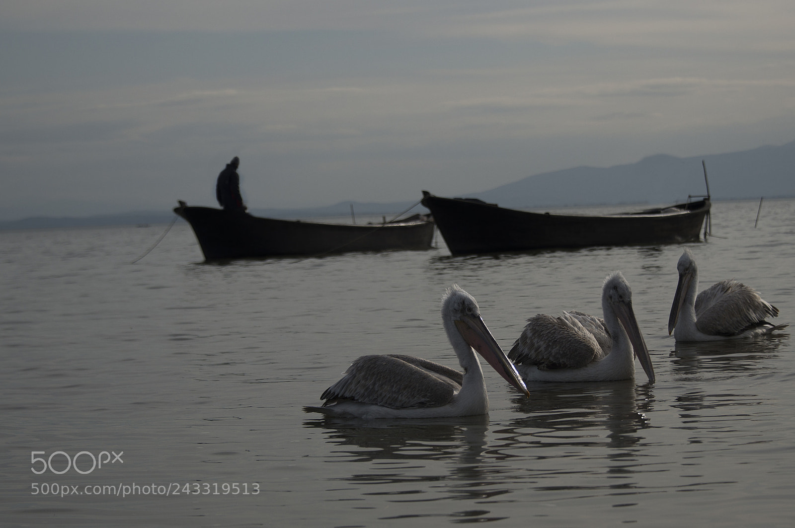 Nikon D610 sample photo. Dock photography