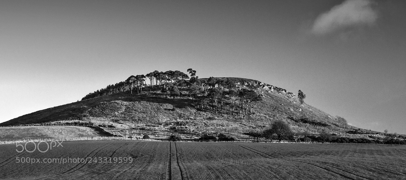 Nikon D90 sample photo. Old bewickhill bwa photography