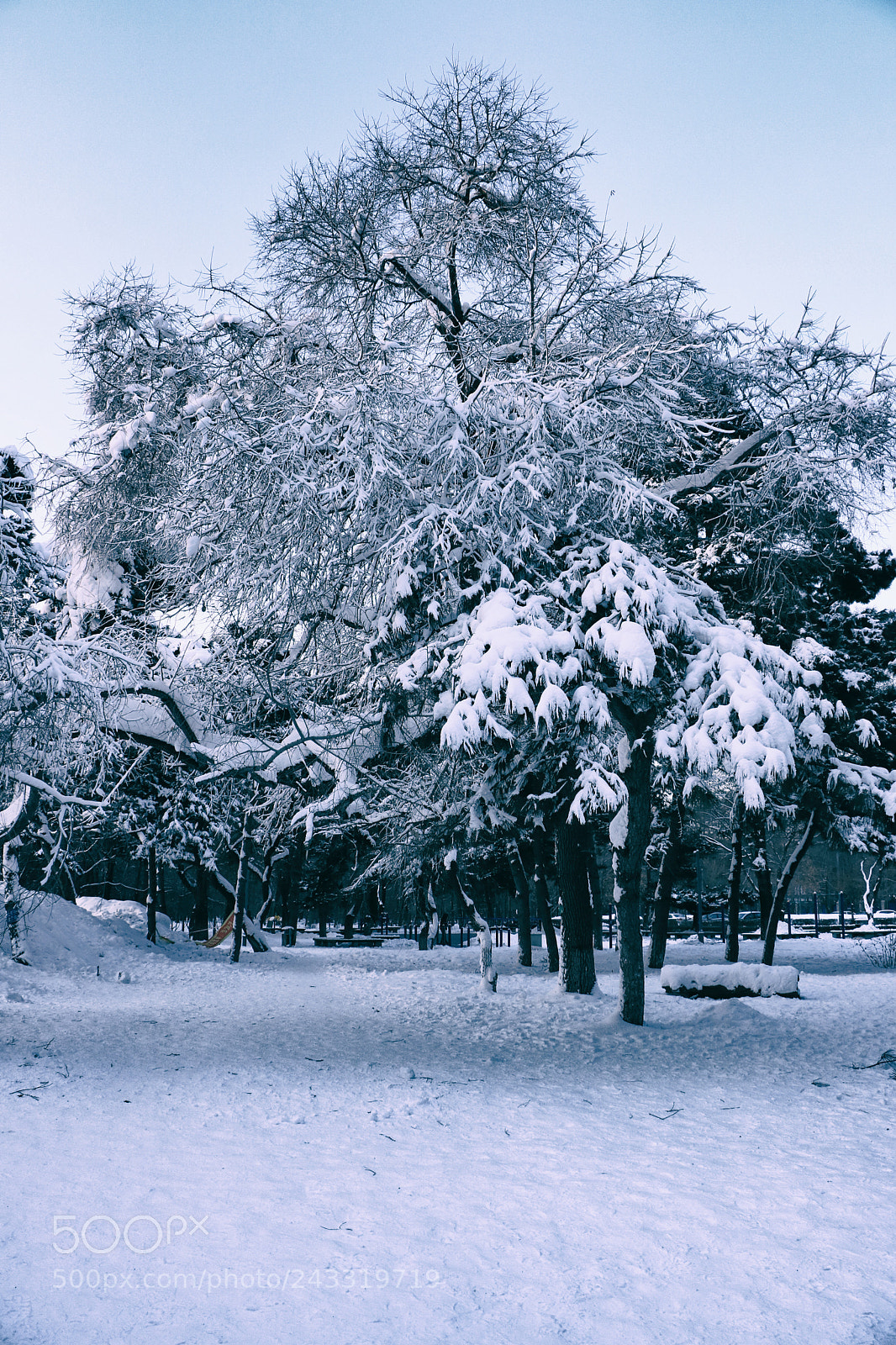 Canon EOS 760D (EOS Rebel T6s / EOS 8000D) sample photo. Cc snow photography
