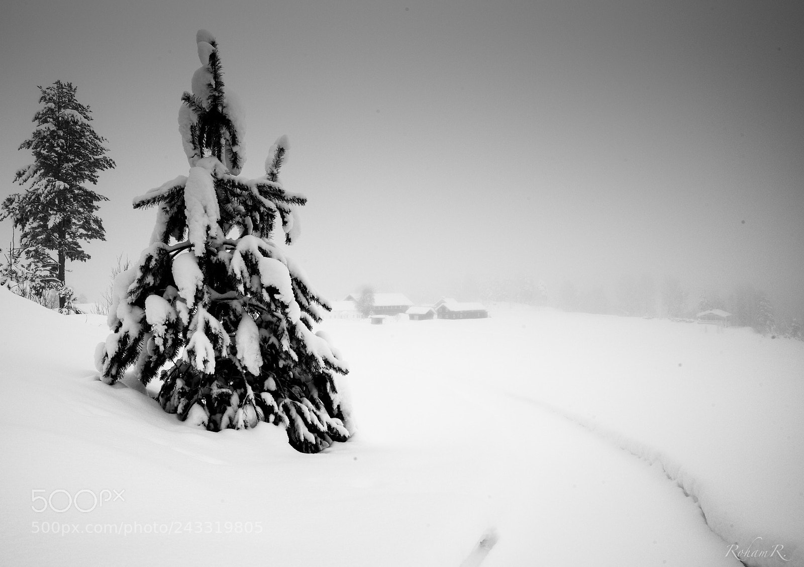 Leica M (Typ 240) sample photo. Winterwonderland photography