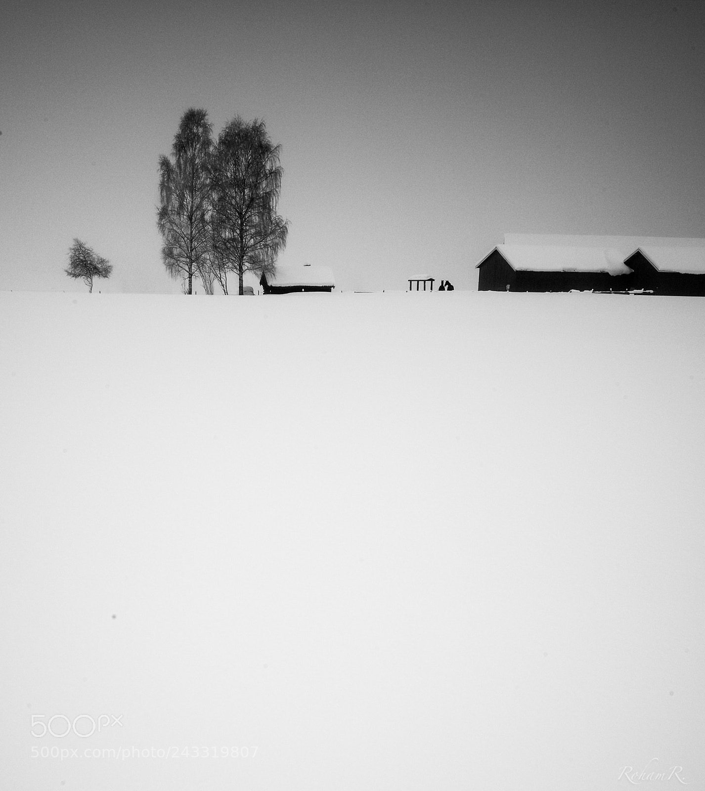 Leica M (Typ 240) sample photo. Winterwonderland photography