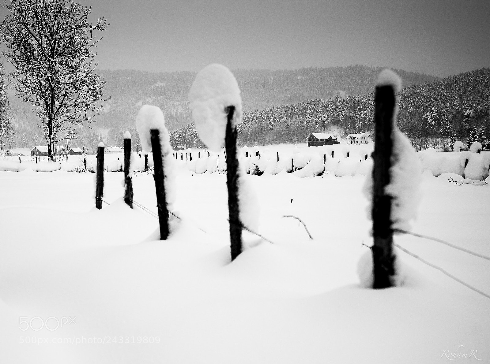 Leica M (Typ 240) sample photo. Winterwonderland photography