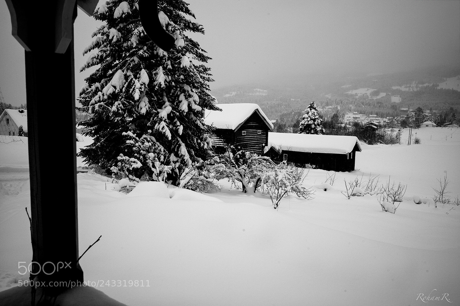 Leica M (Typ 240) sample photo. Winterwonderland photography