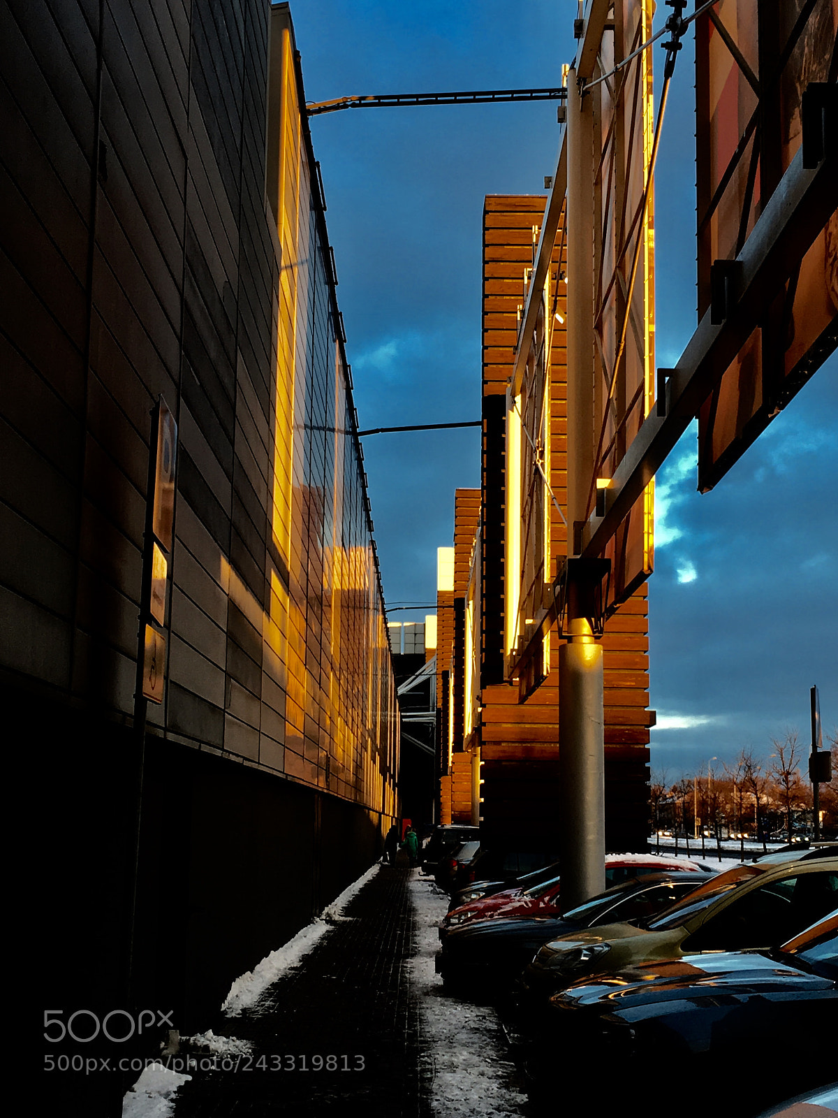 Apple iPhone SE sample photo. Domina photography
