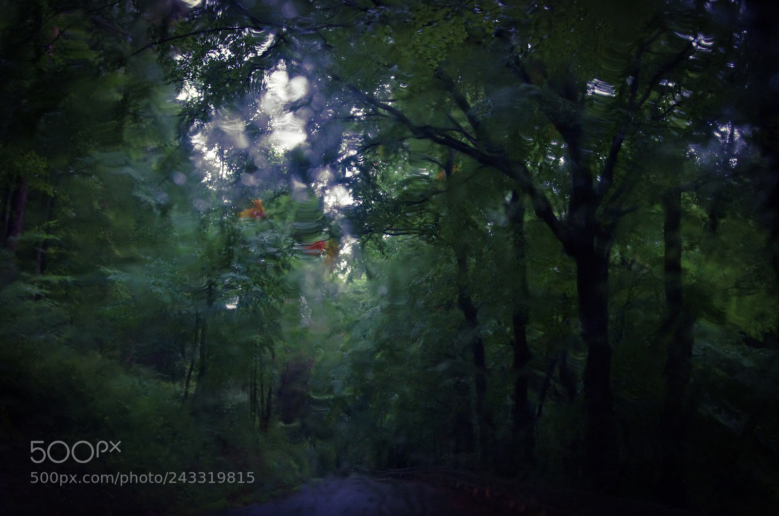 Pentax K-5 IIs sample photo. Untitled photography