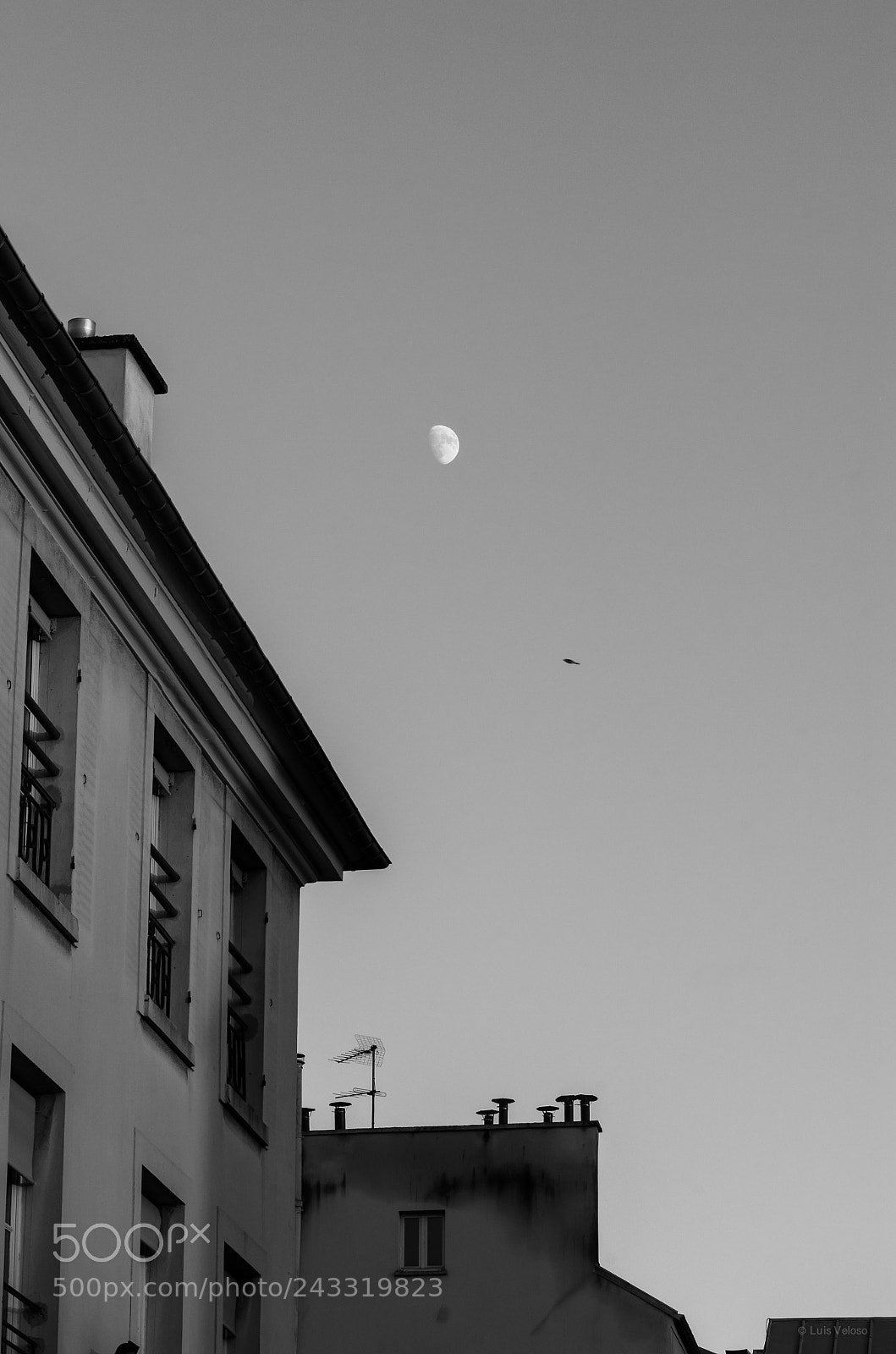 Pentax K-30 sample photo. Fly me to the photography