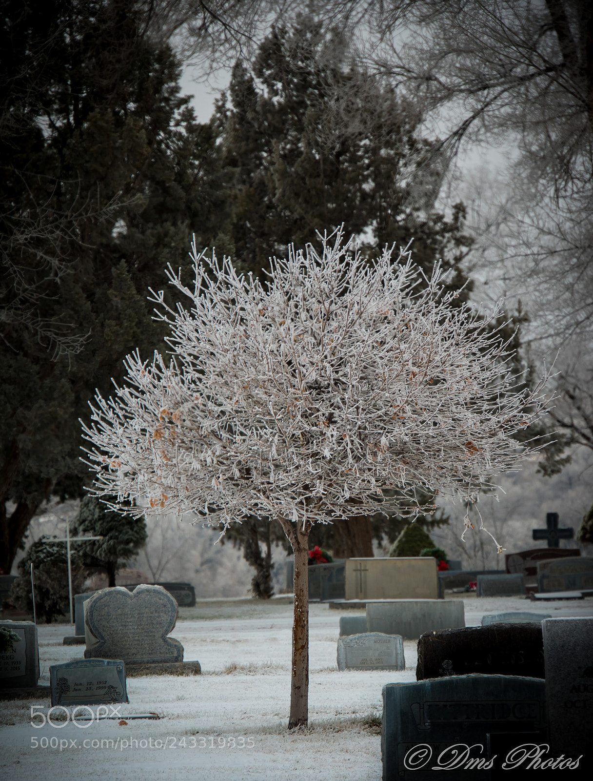 Nikon D5600 sample photo. Fosty photography