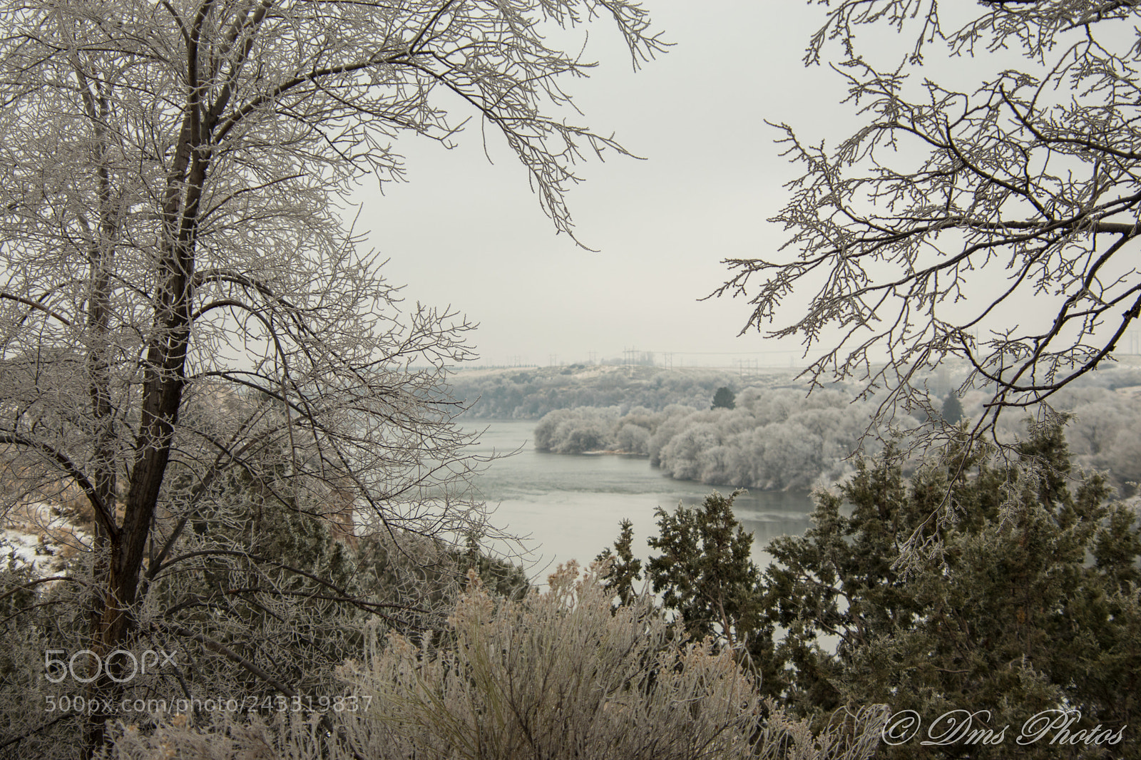 Nikon D5600 sample photo. Fosty river photography