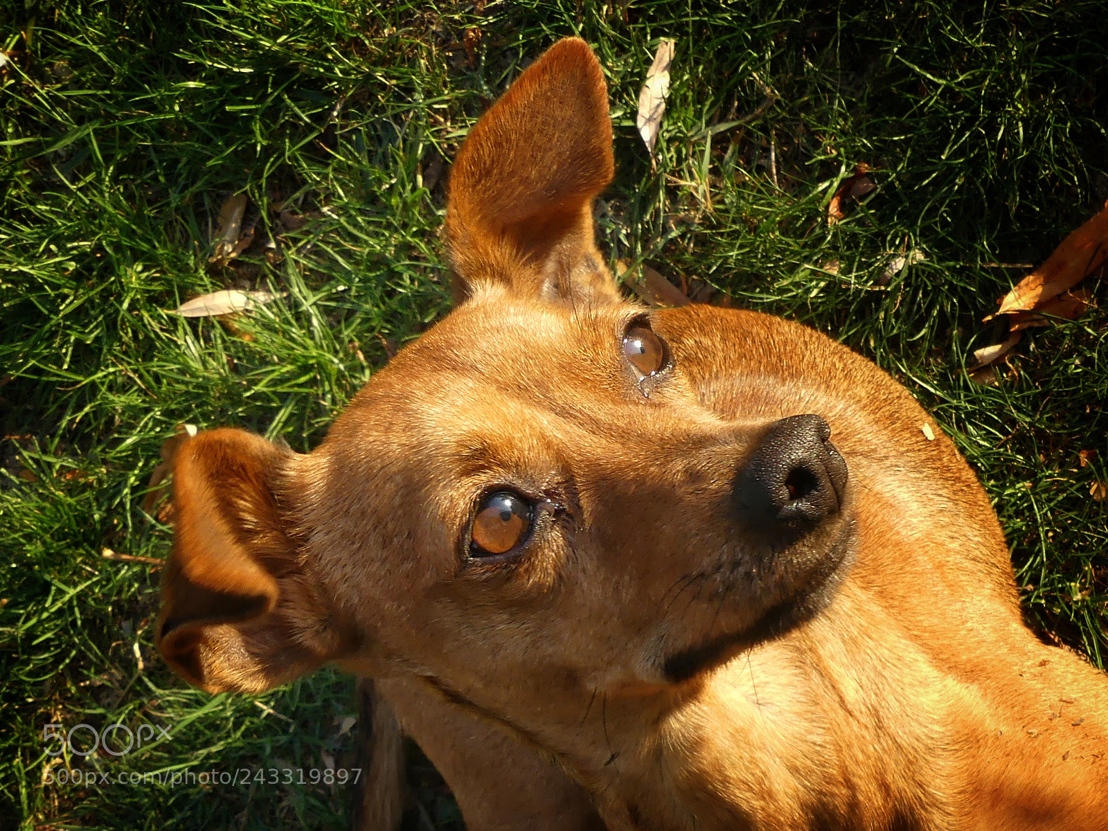 Panasonic Lumix DMC-FZ300 sample photo. Untitled photography