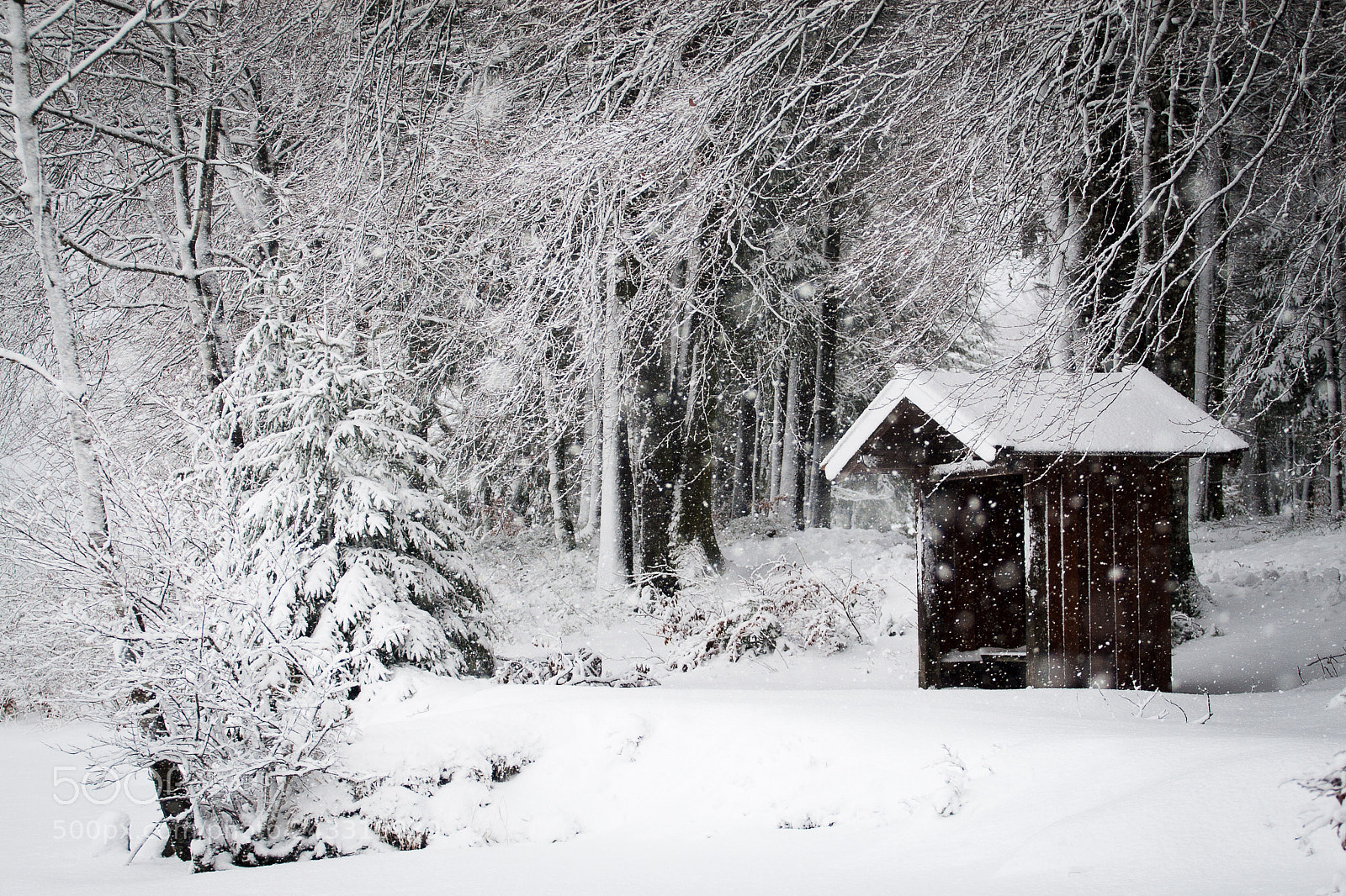 Canon EOS 30D sample photo. Cabin photography
