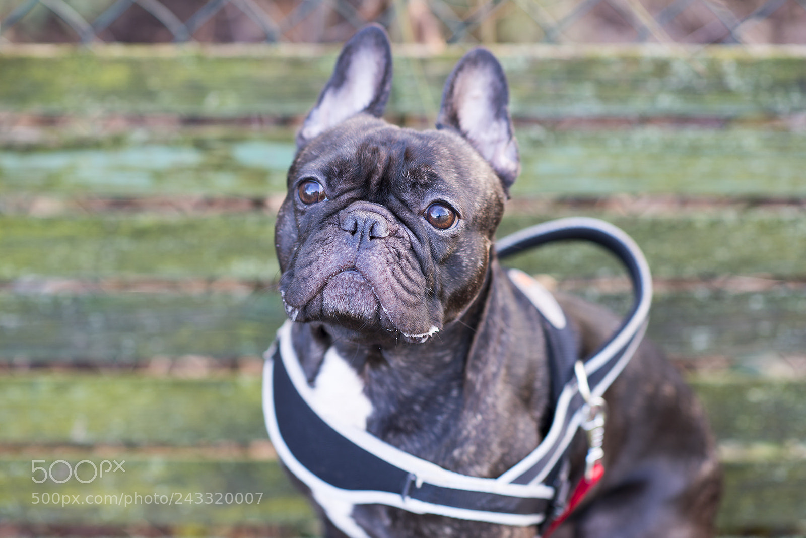 Nikon Df sample photo. 2 min for hooking photography