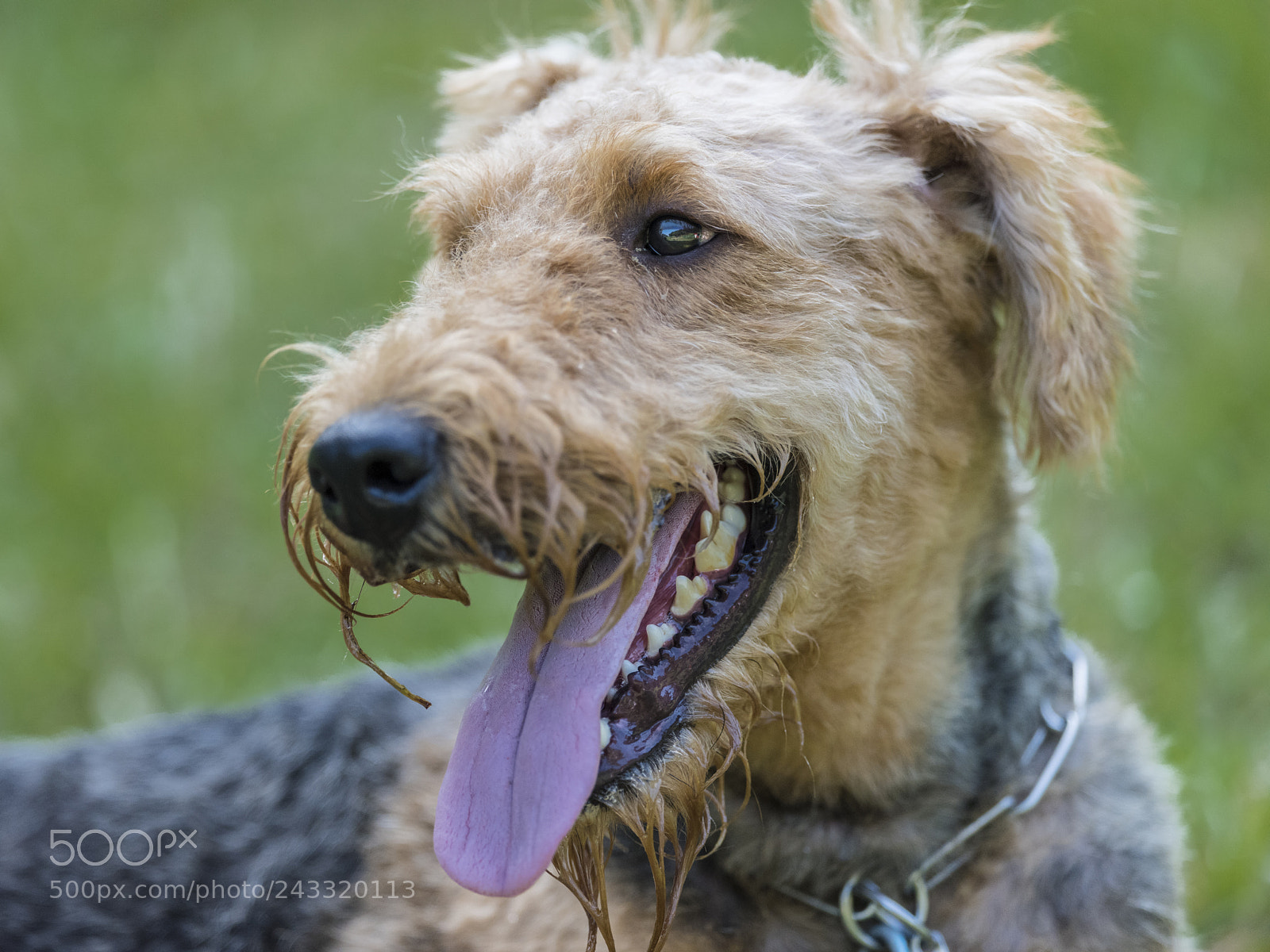 Nikon D810 sample photo. So happy photography