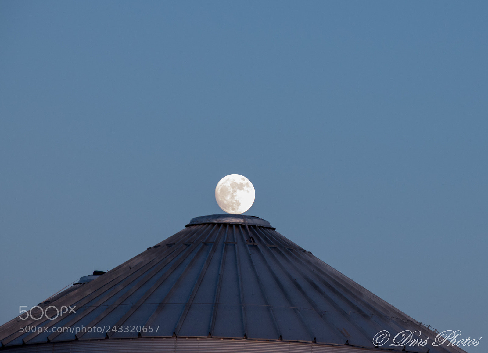 Nikon D5600 sample photo. Moon play photography