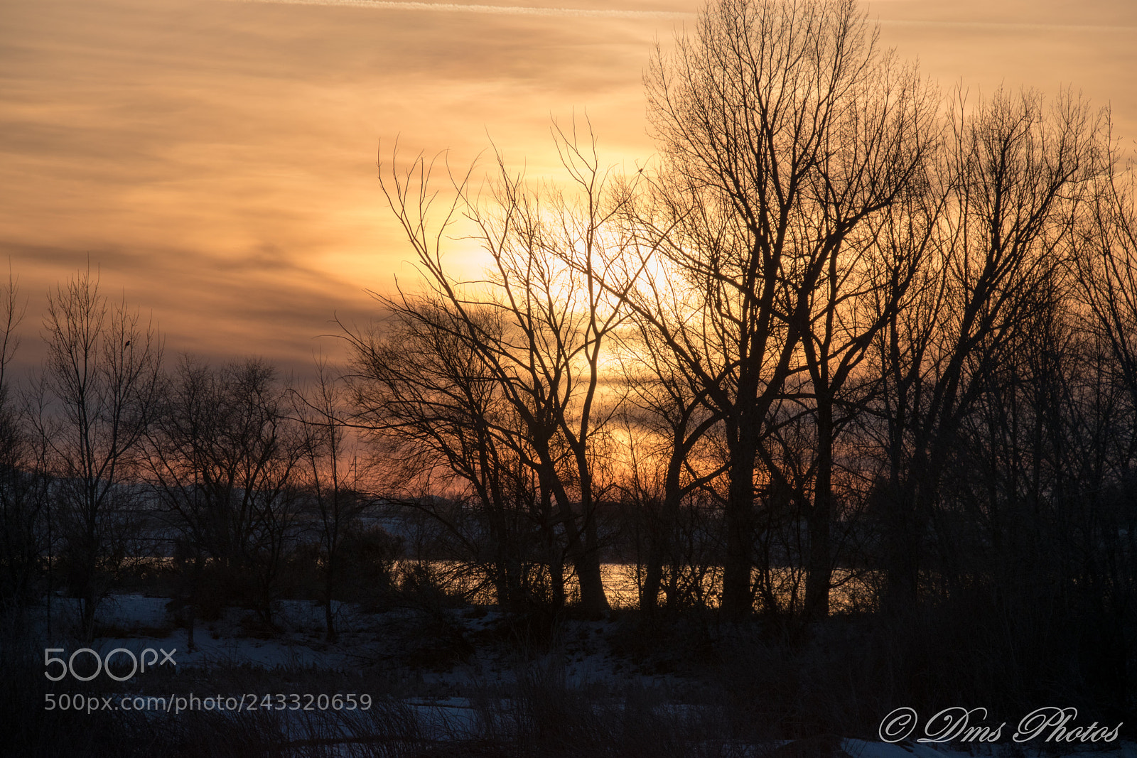 Nikon D5600 sample photo. Sunset new years eve 2017 photography