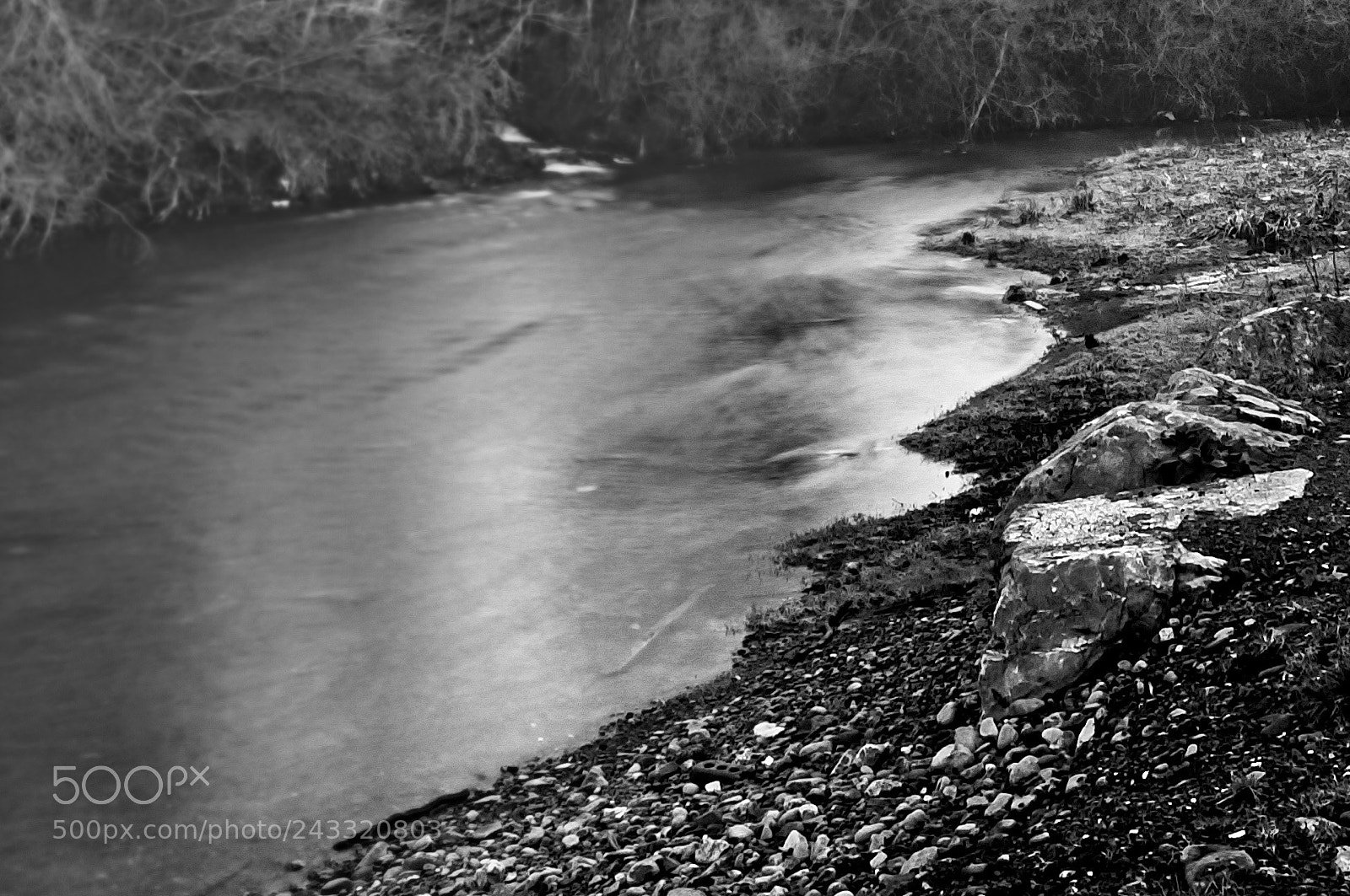 Nikon D2X sample photo. River bank photography