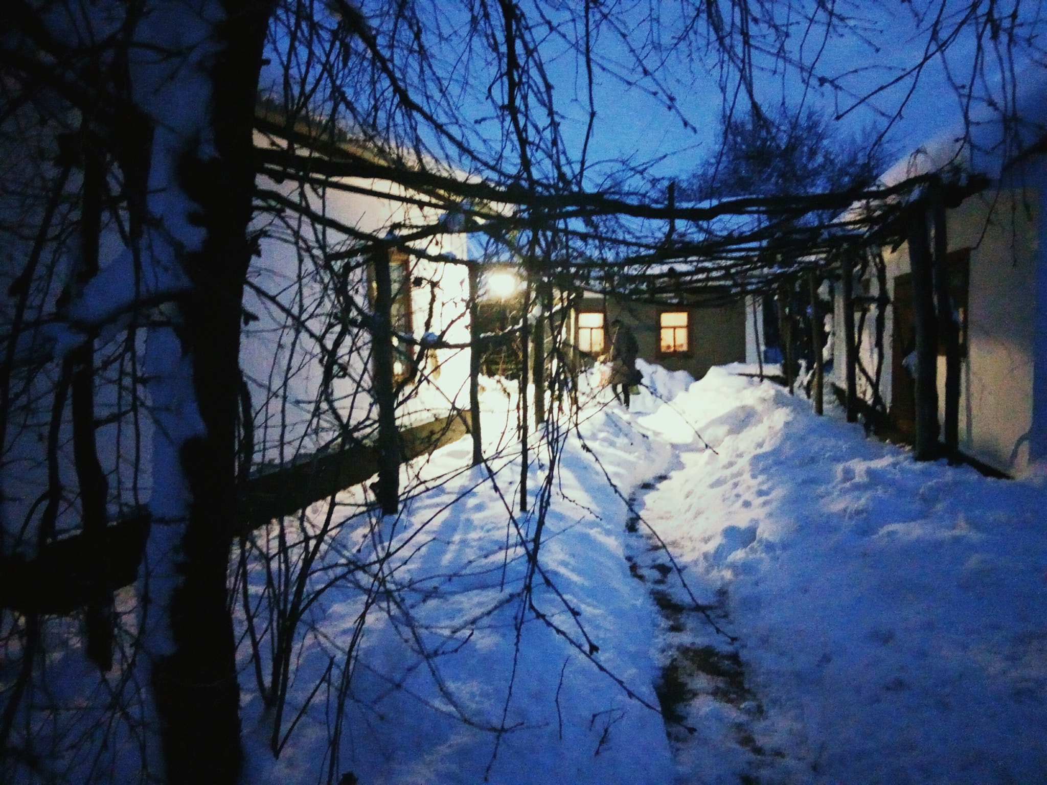 Meizu M5c sample photo. Winter dreams😍 photography
