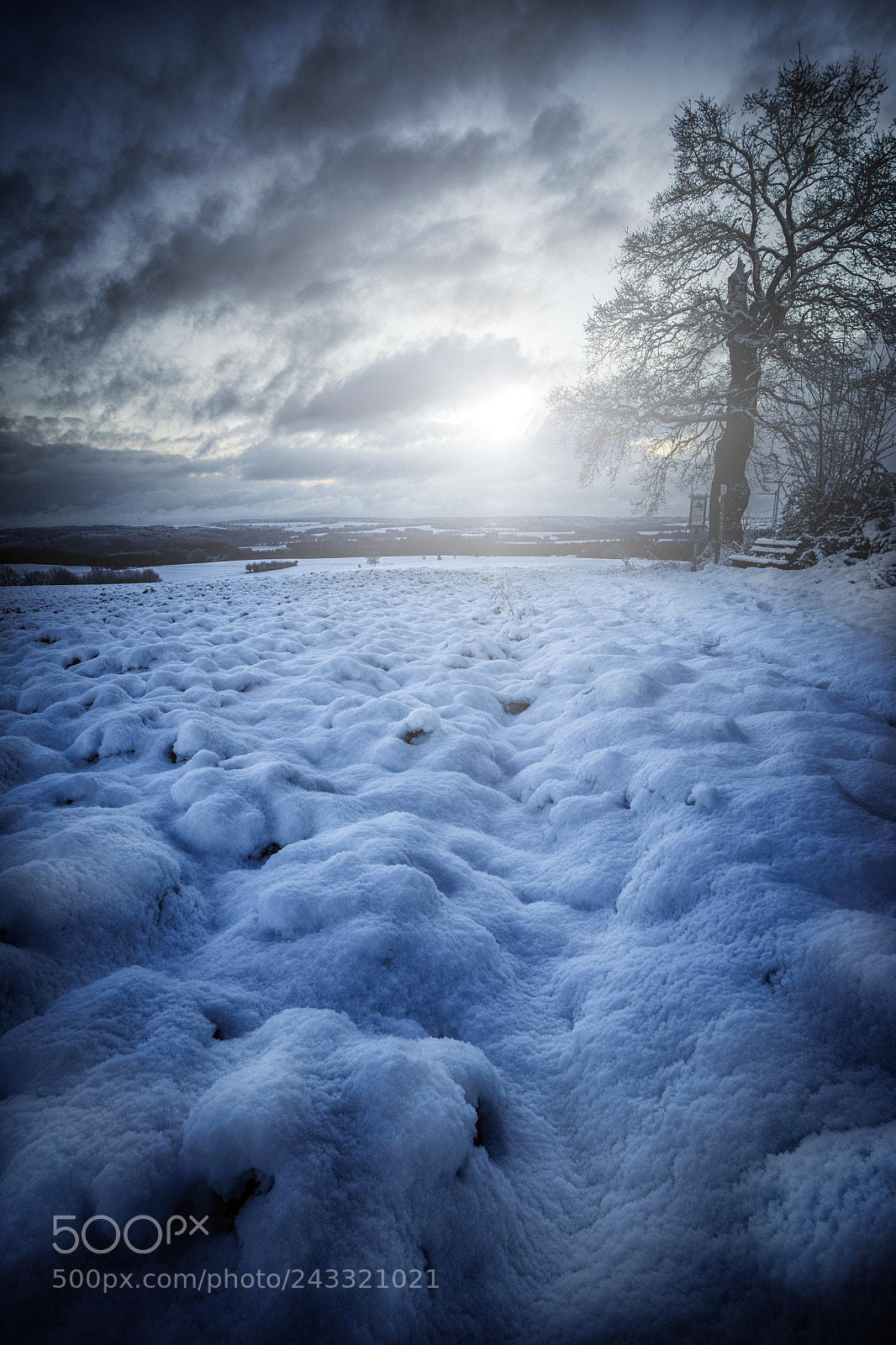 Sony a7 sample photo. Winter wonderland photography