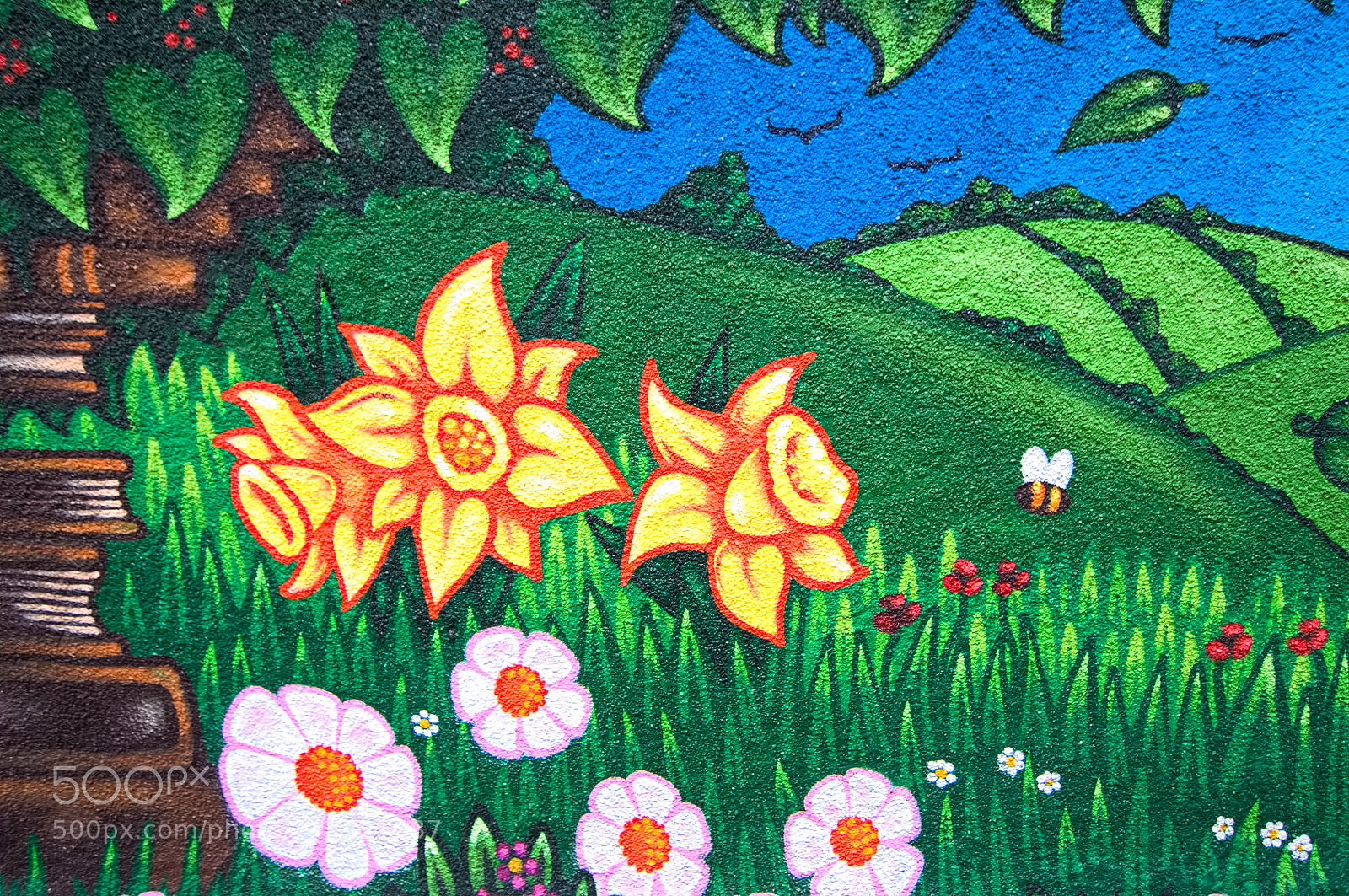 Nikon D2X sample photo. Wall art photography