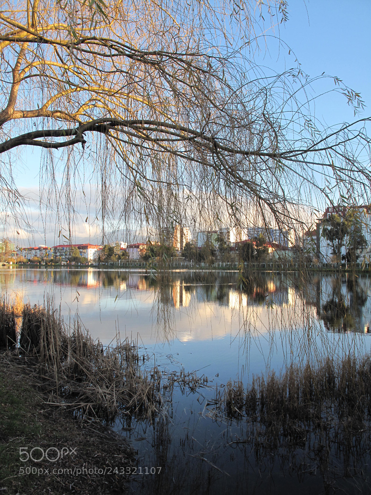 Canon PowerShot G10 sample photo. Walking by the river photography