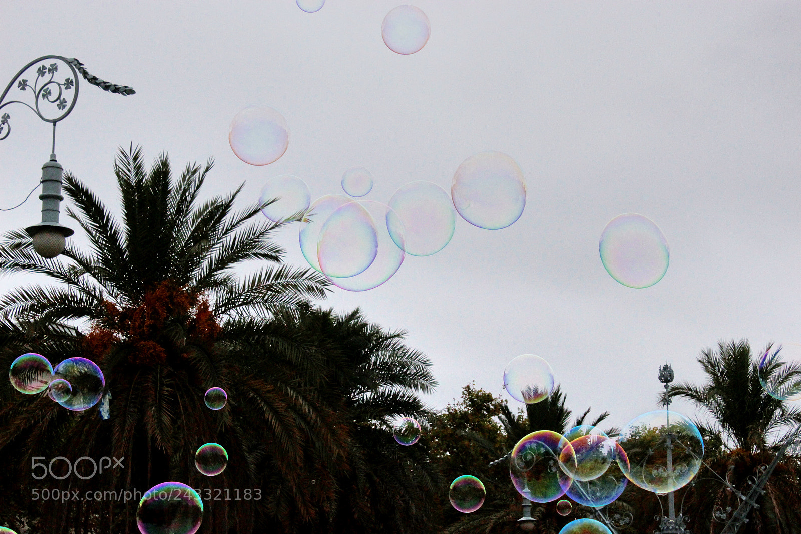 Canon EOS 100D (EOS Rebel SL1 / EOS Kiss X7) sample photo. Bubbling photography