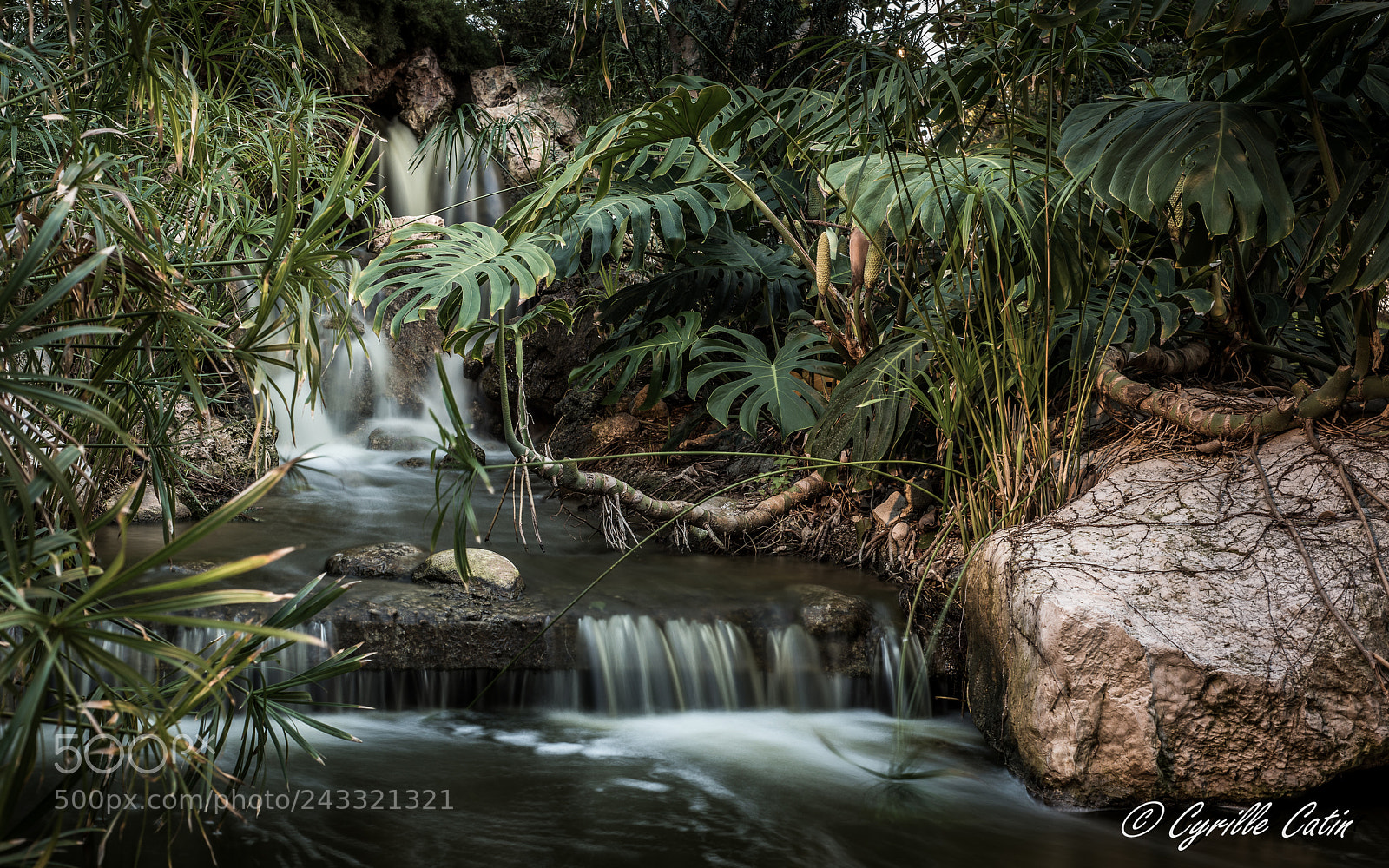 Nikon D810 sample photo. Zen photography